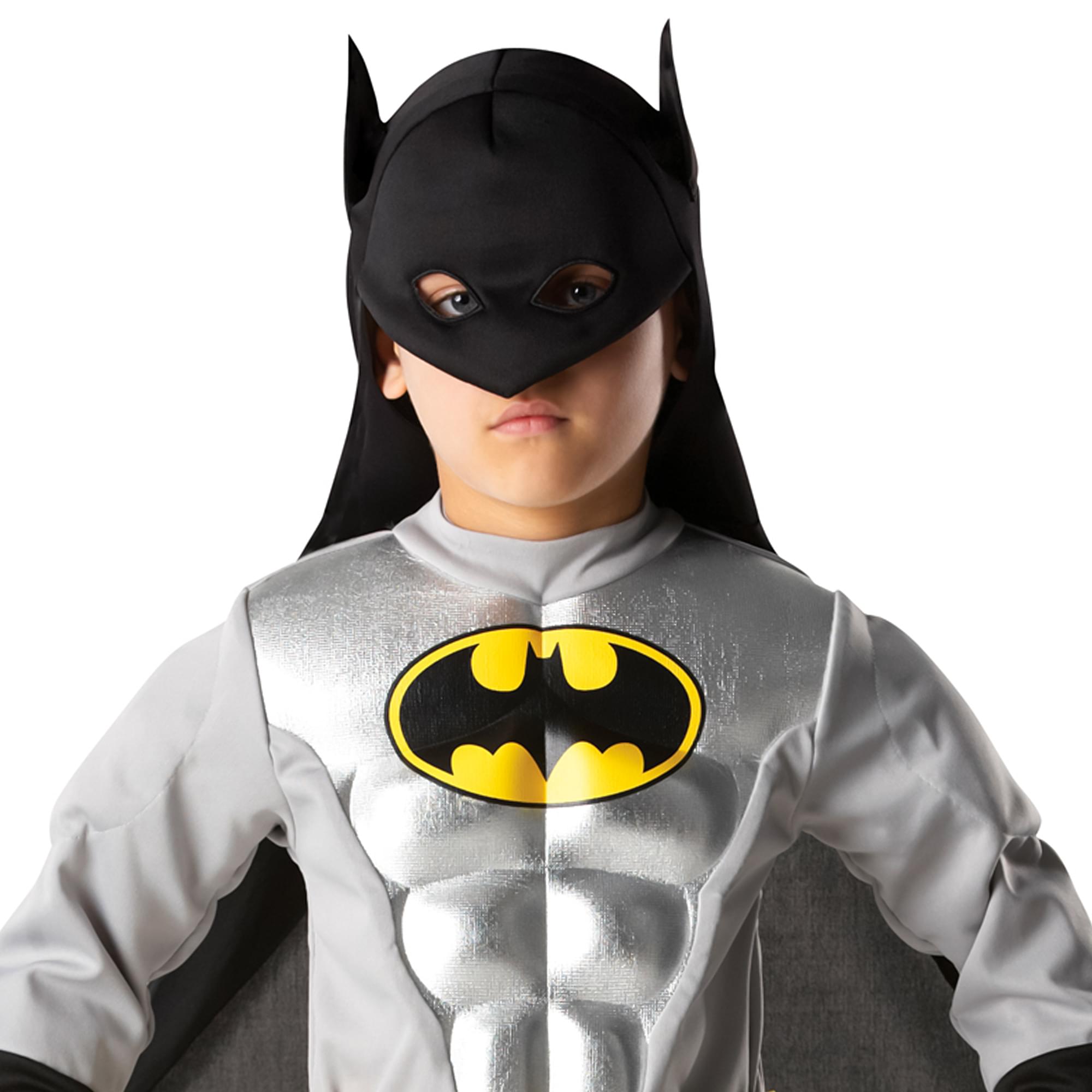 DC Silver Batman Child Costume