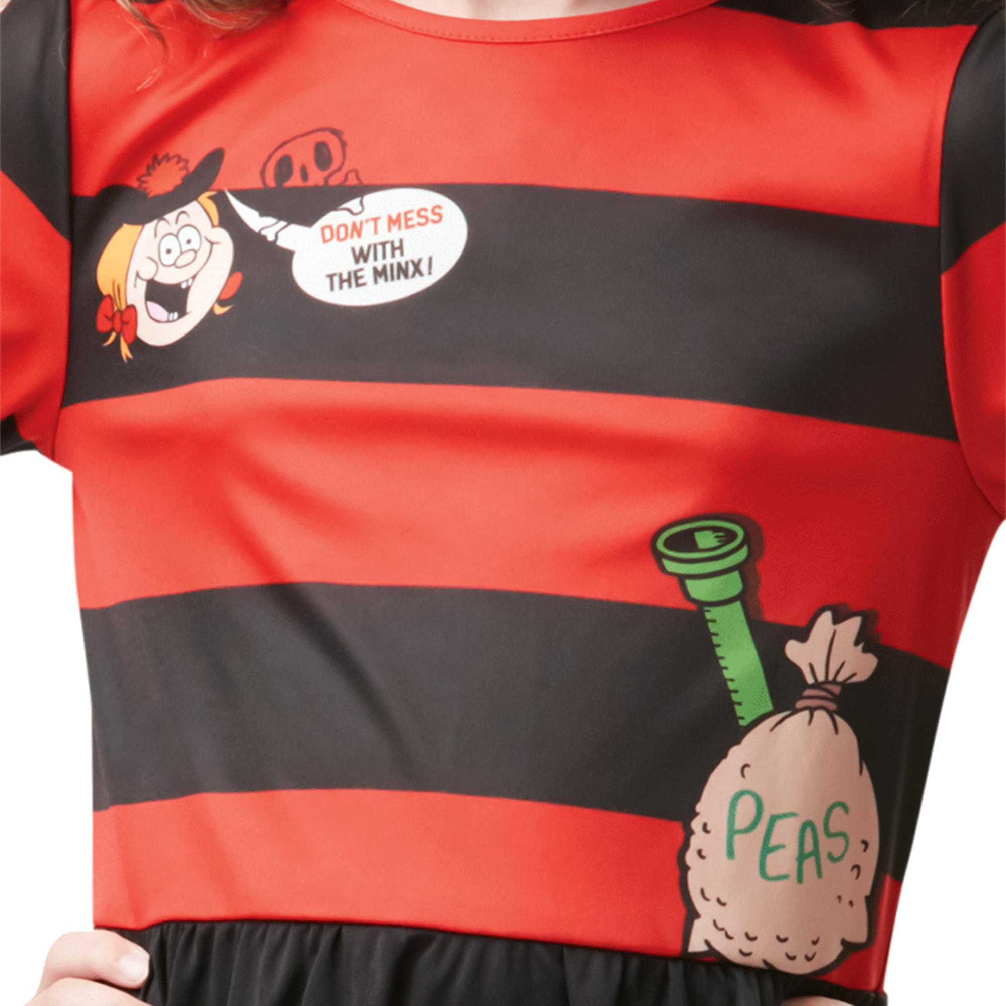Minnie The Minx Child Costume | Large