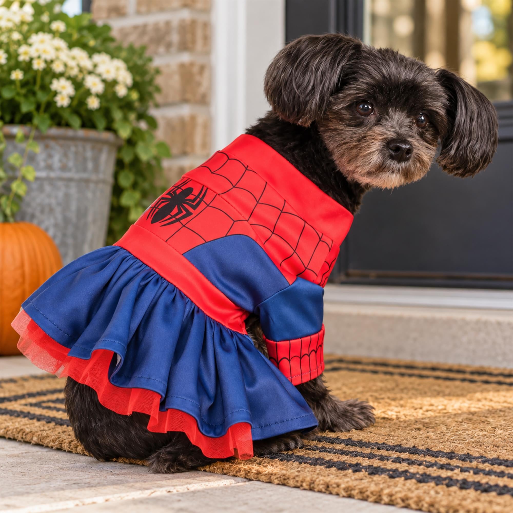Spider Girl Pet Costume