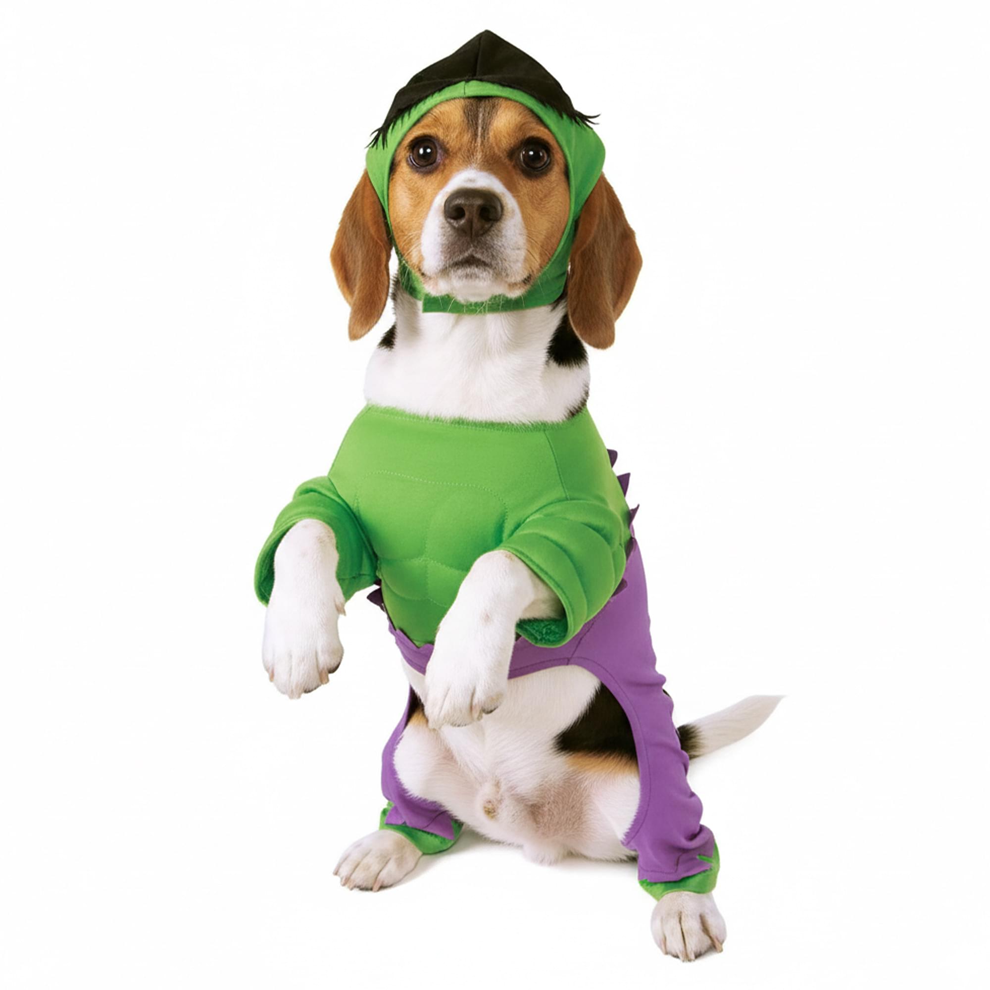 Incredible Hulk Back, Chest Adult Costume