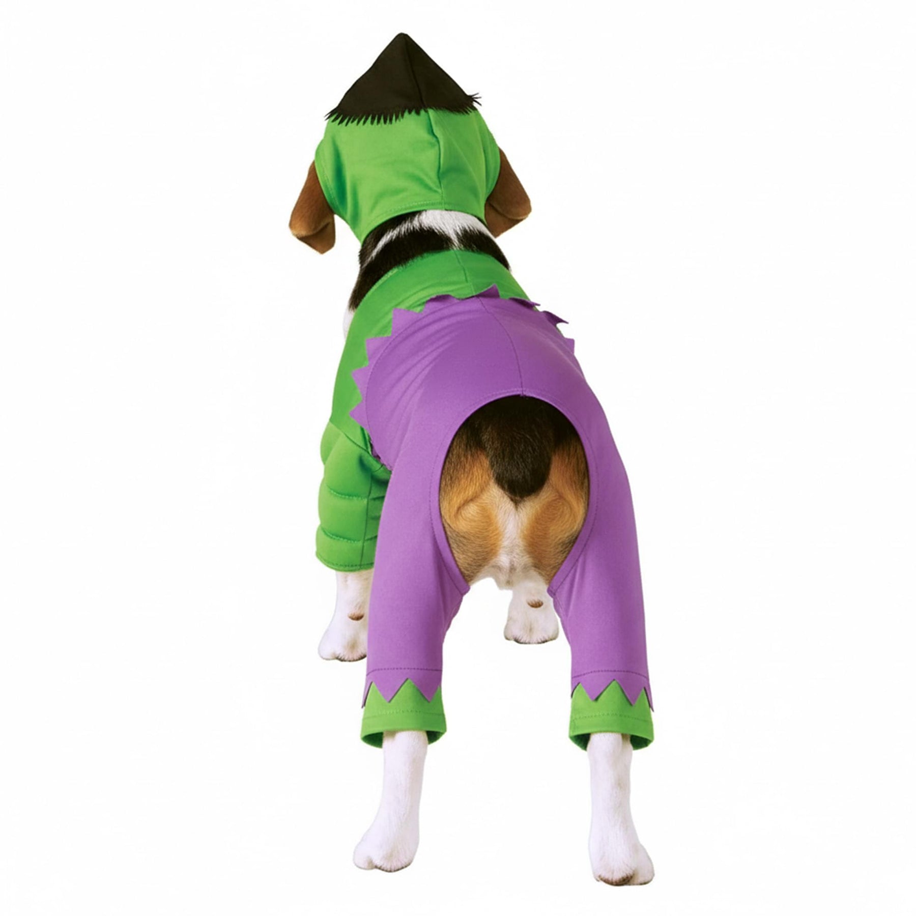 Incredible Hulk Back, Chest Adult Costume