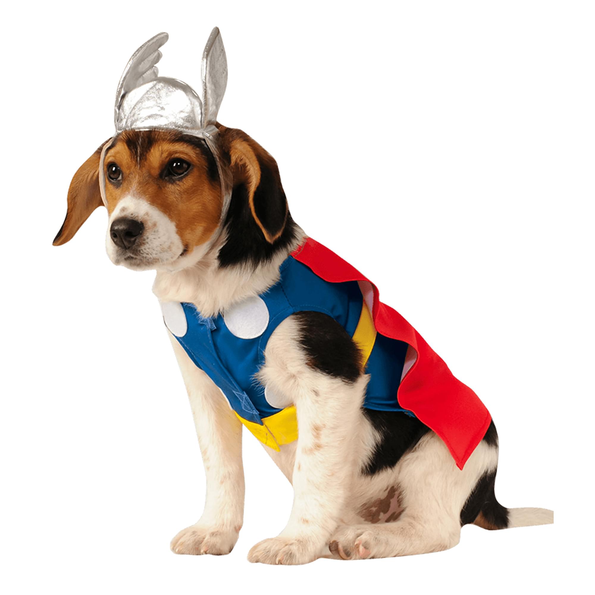 Thor Back, Chest Adult Costume
