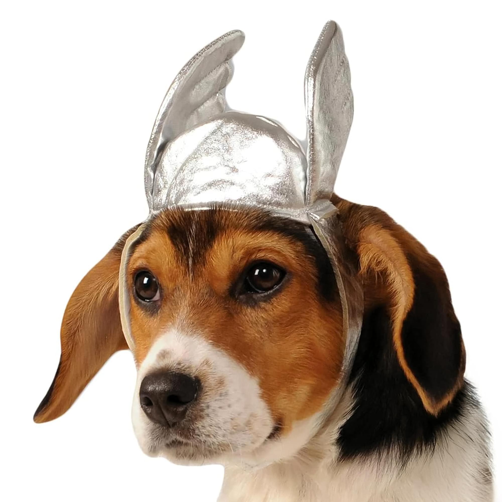 Thor Back, Chest Adult Costume