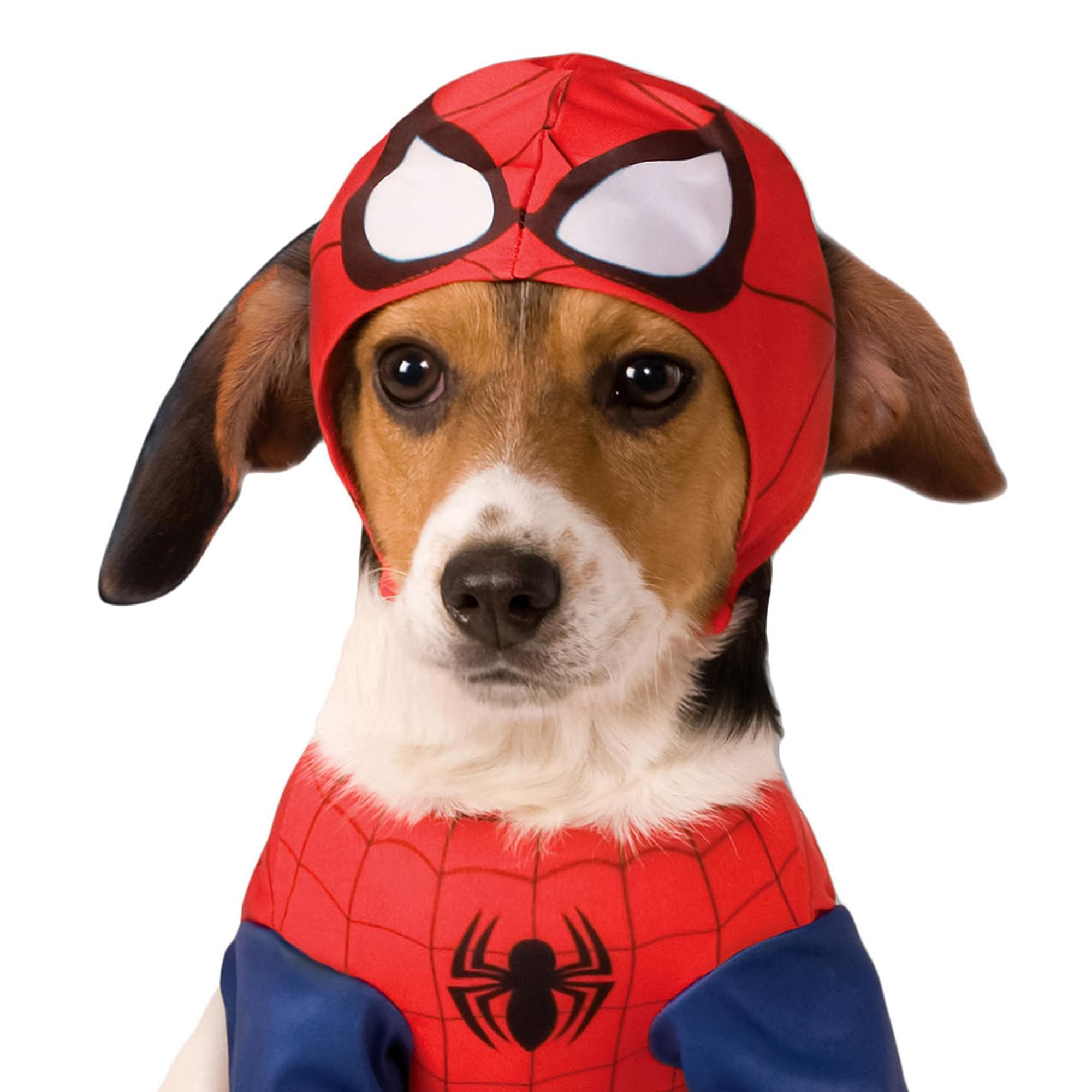 Spider Man Back, Chest Child Costume
