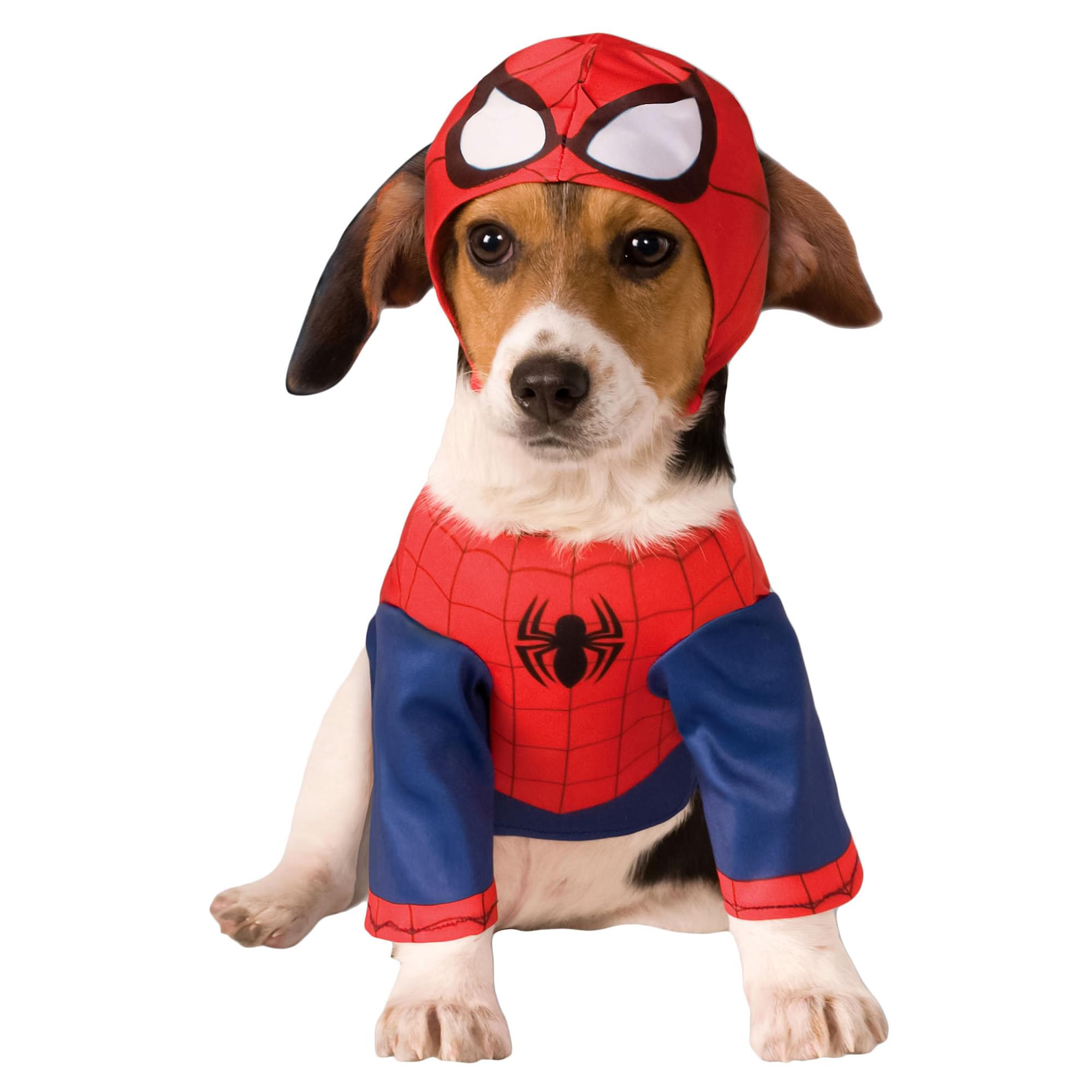 Spider Man Back, Chest Child Costume