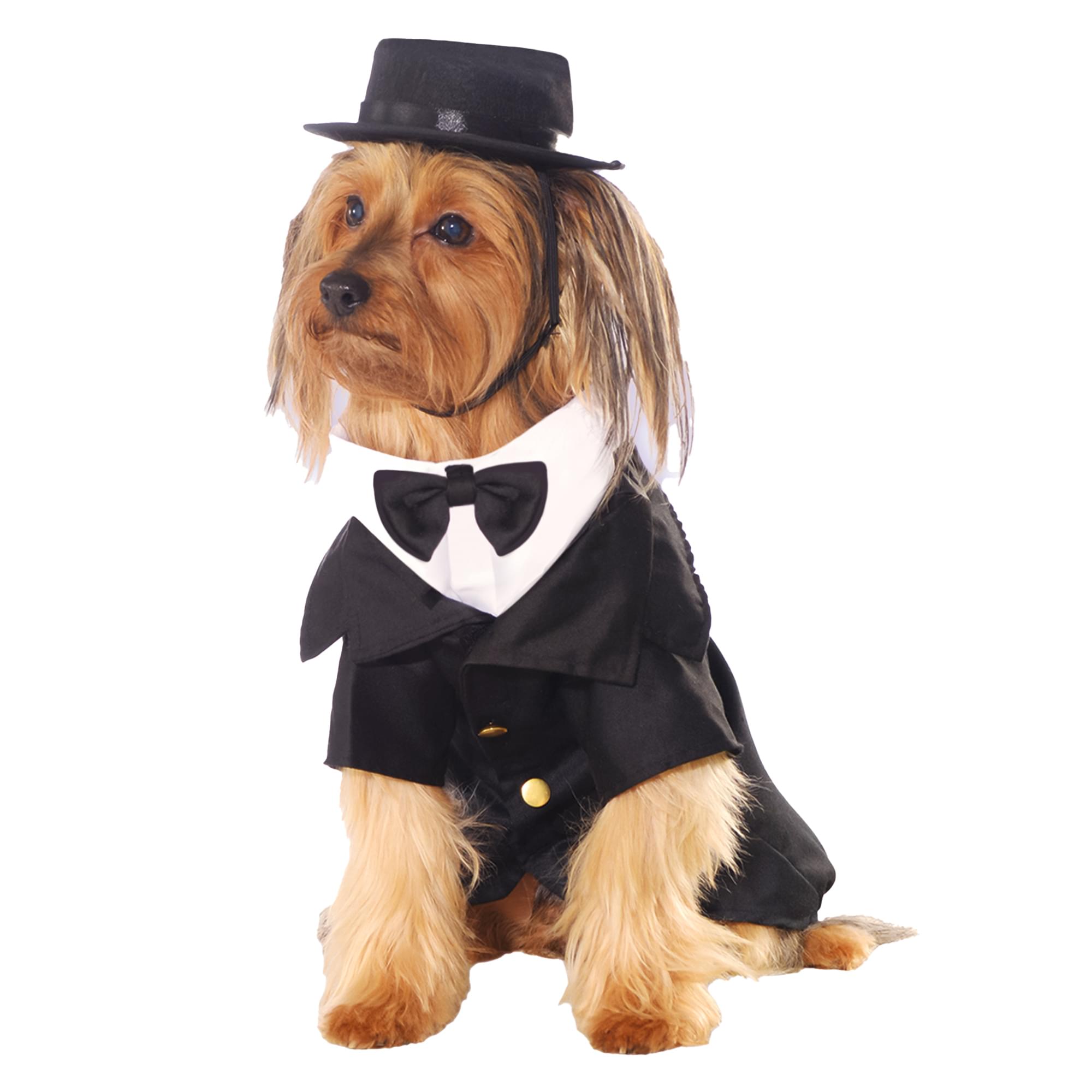 Dapper Dog Back, Chest Adult Costume