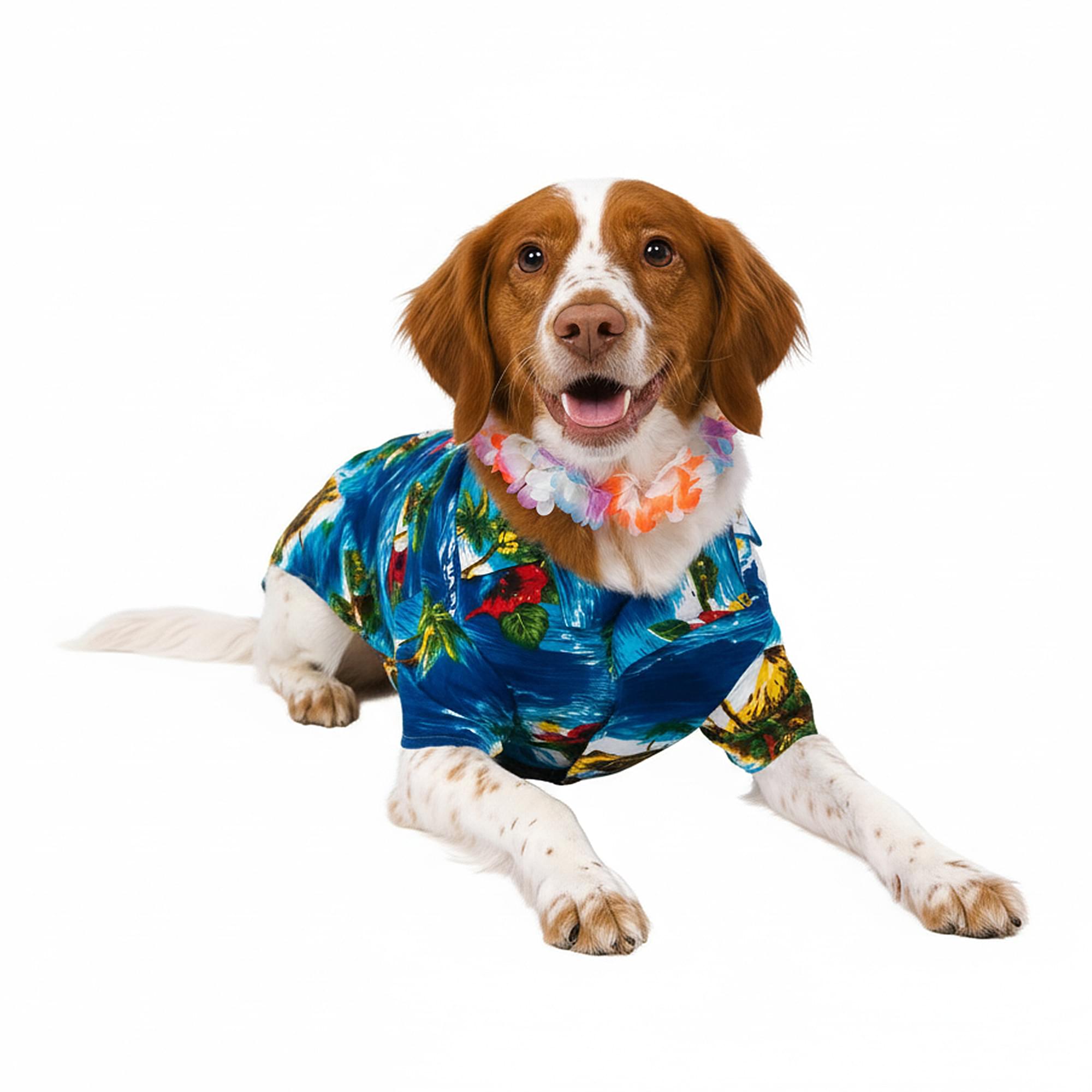 Luau Dog Back, Chest Adult Costume