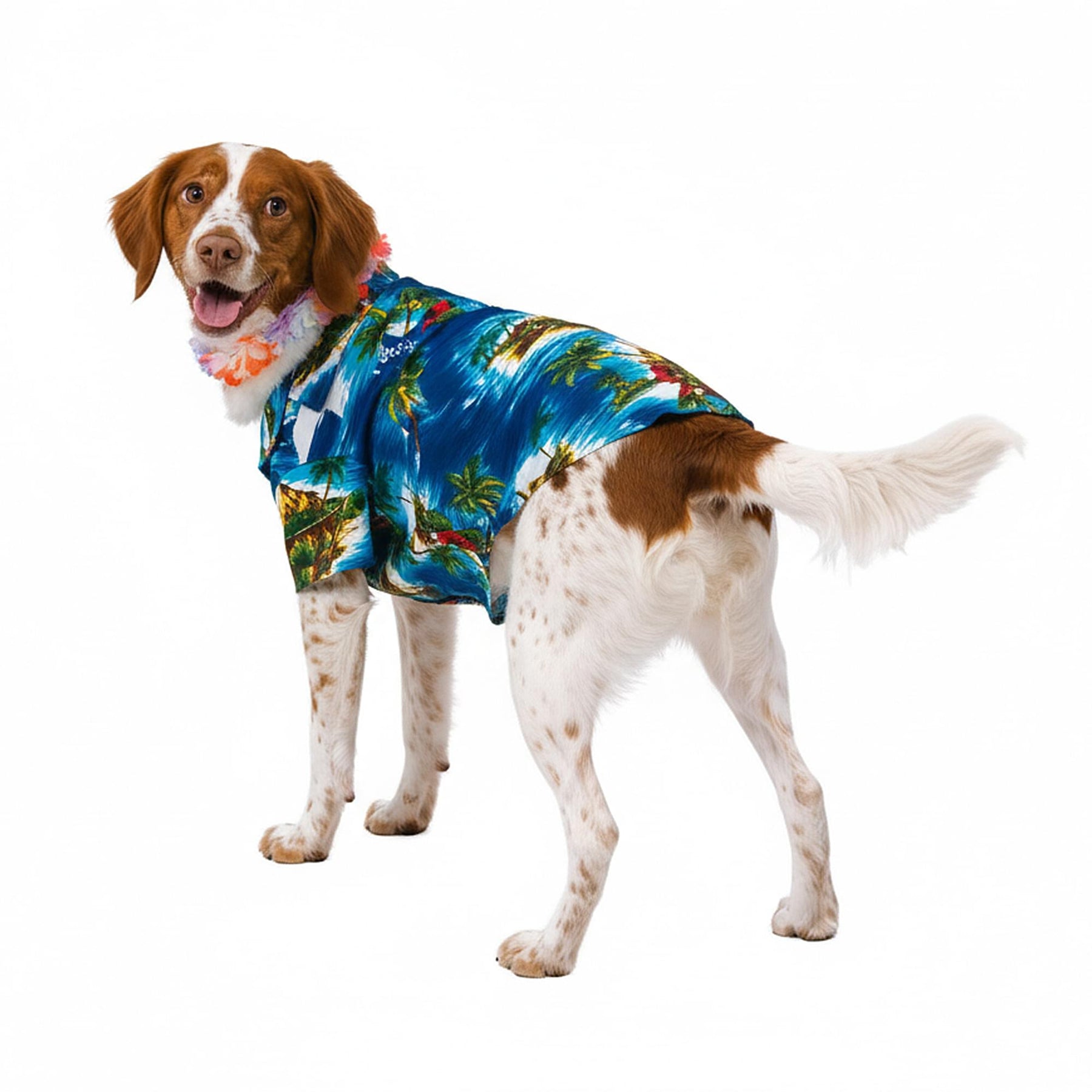 Luau Dog Back, Chest Adult Costume