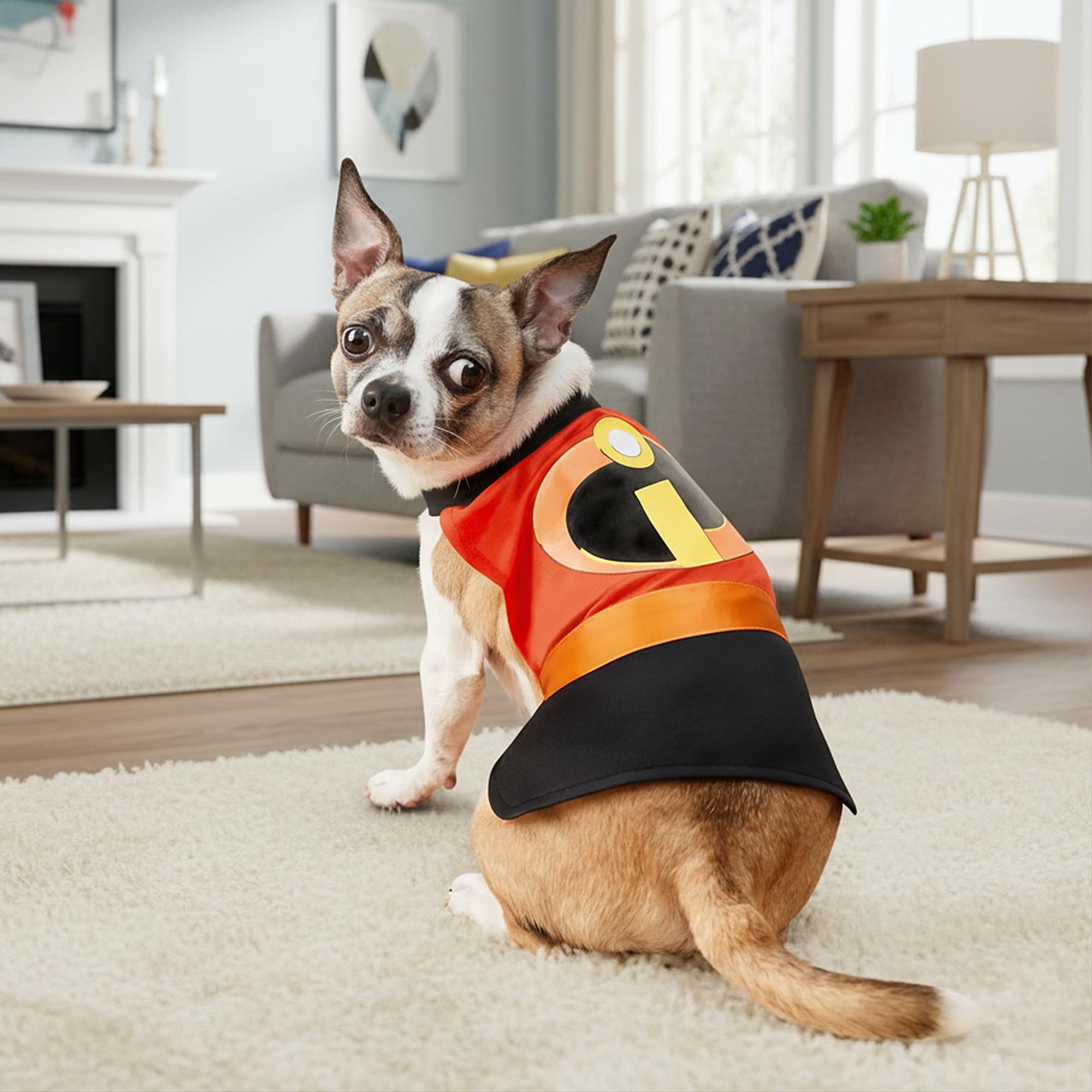 Incredibles 2 Adult Costume