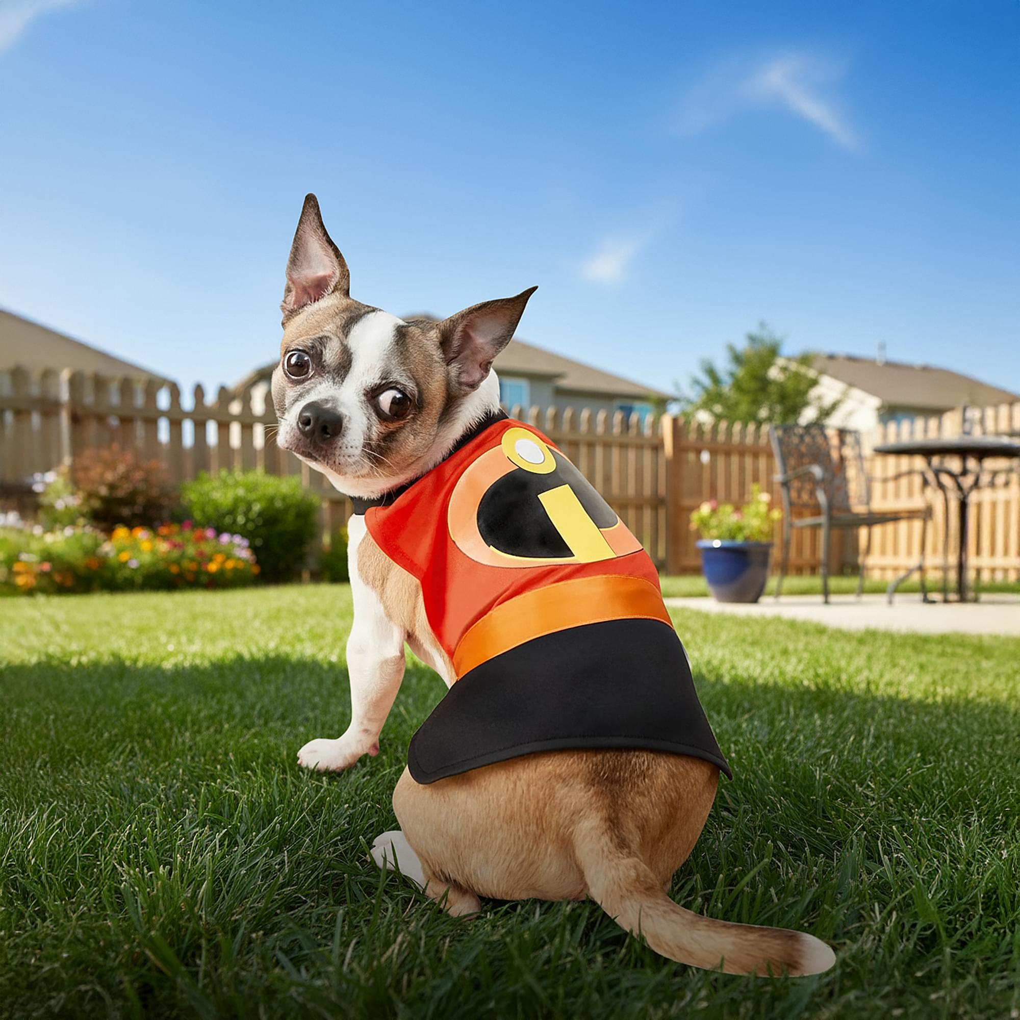 Incredibles 2 Adult Costume