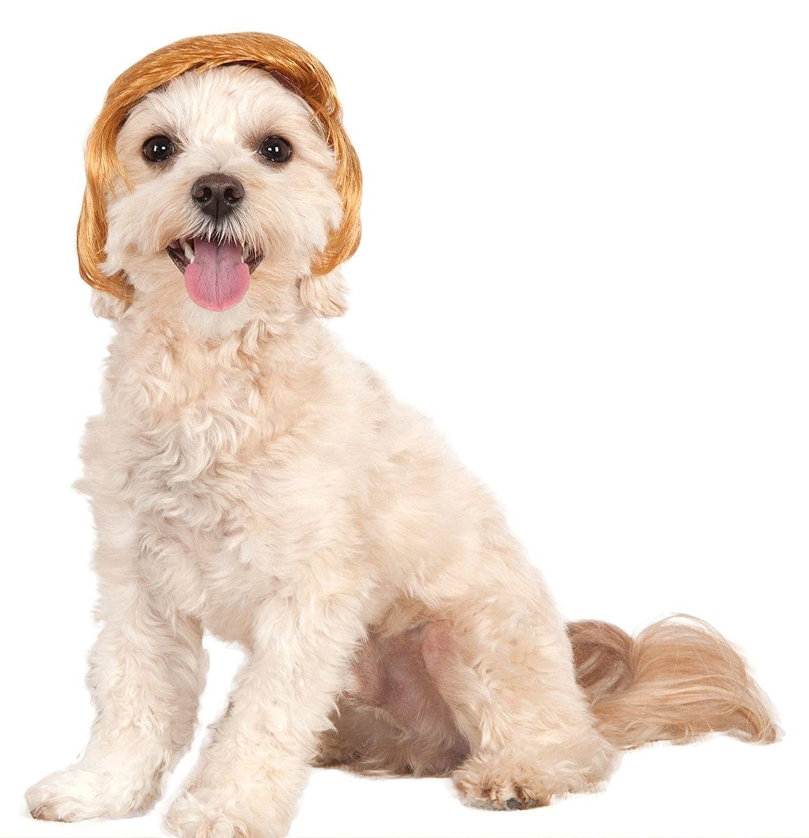 Pawlitical Billionaire Dog Wig