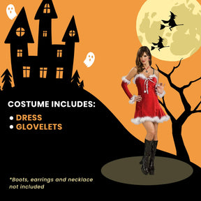 Sexy Santa Baby Red Christmas Dress Adult Costume