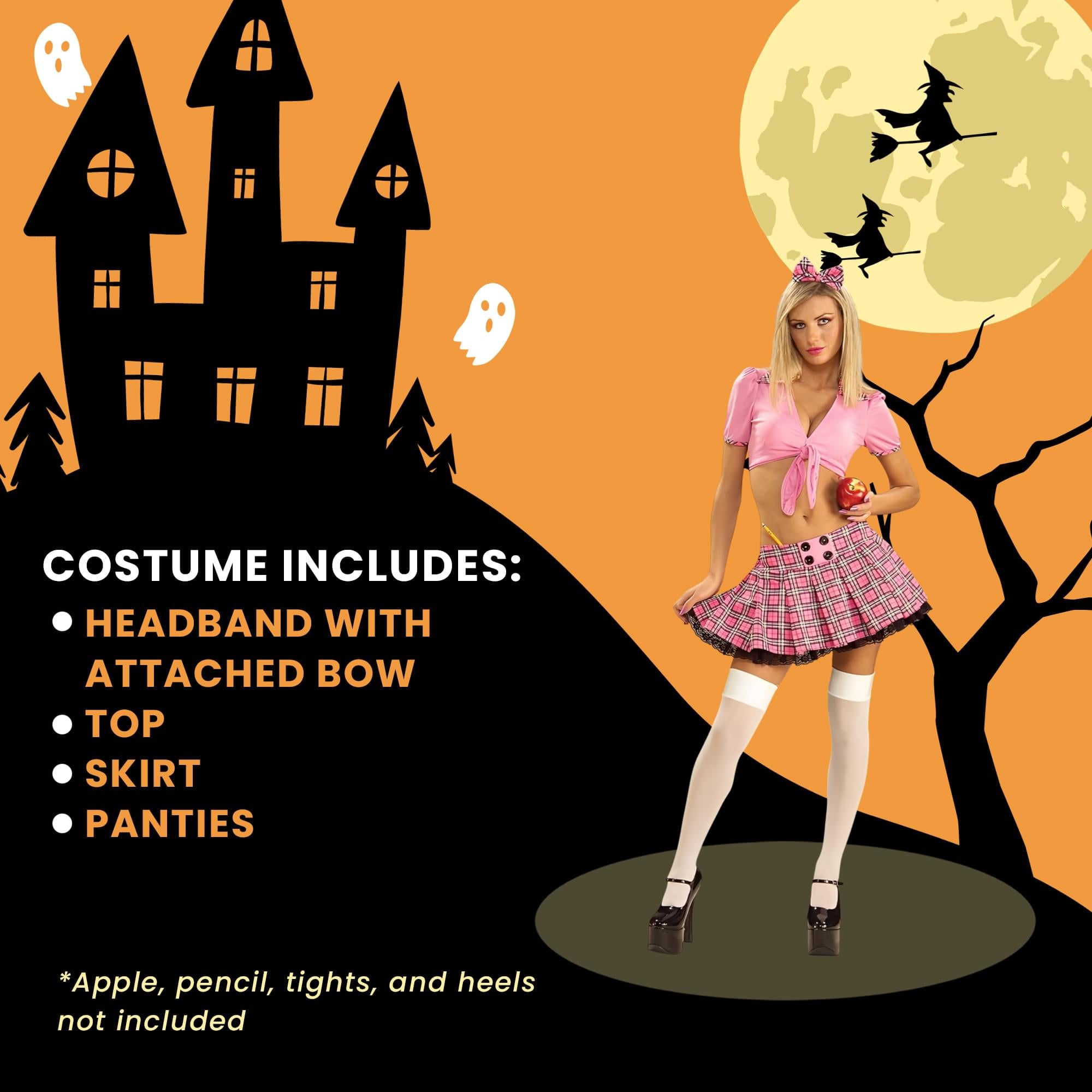 Teachers Pet / Adult Costume Medium/large