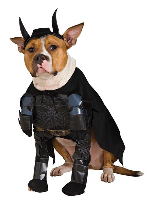 Batman Pet Dog Costume