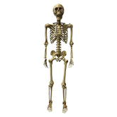 Deluxe 5 Foot Poseable Skeleton Halloween Decoration