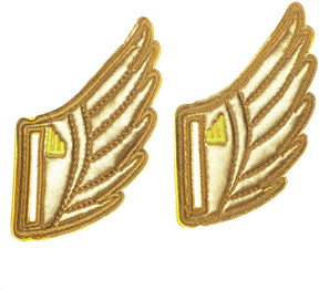 Shwings Shoe Accessories: Gold Foil Wings Slotted