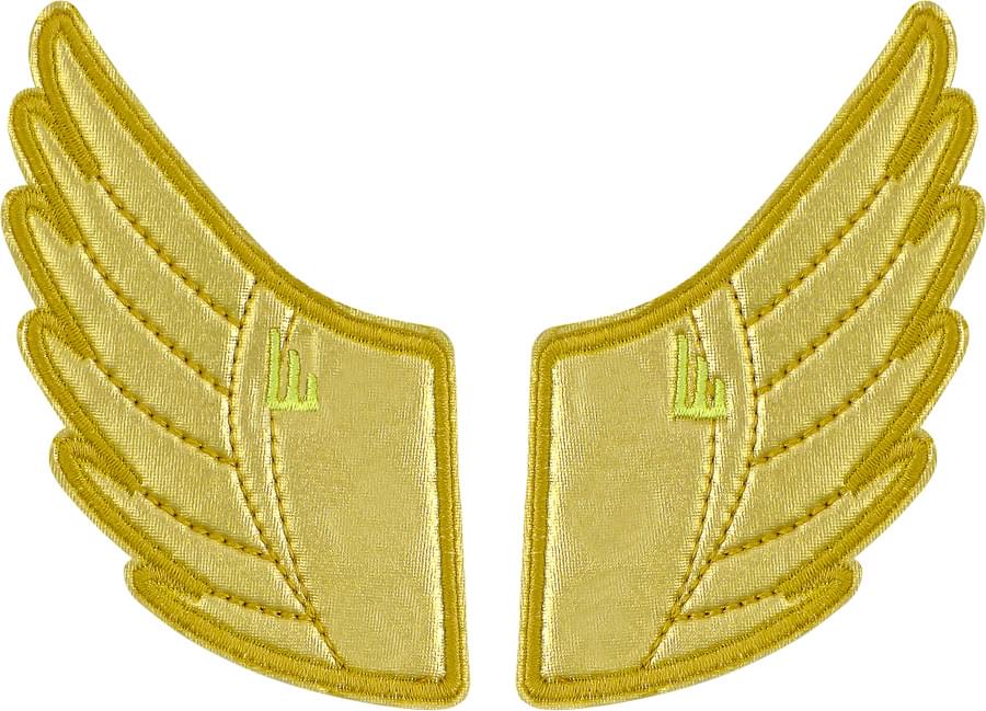 Shwings Shoe Accessories: Gold Foil Wing Clips