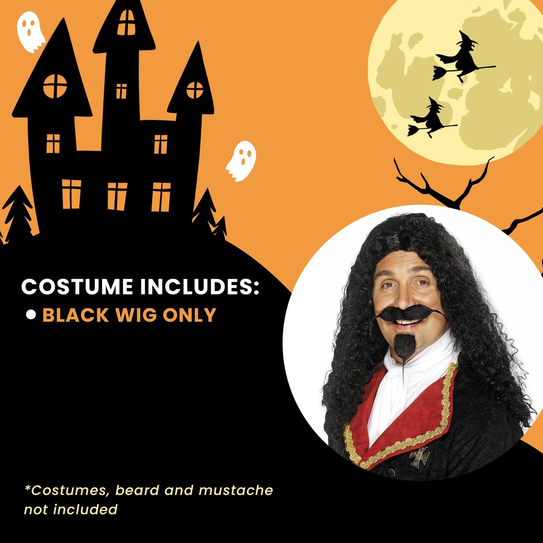 King Charles Musketeer Black Wig Costume Accessory