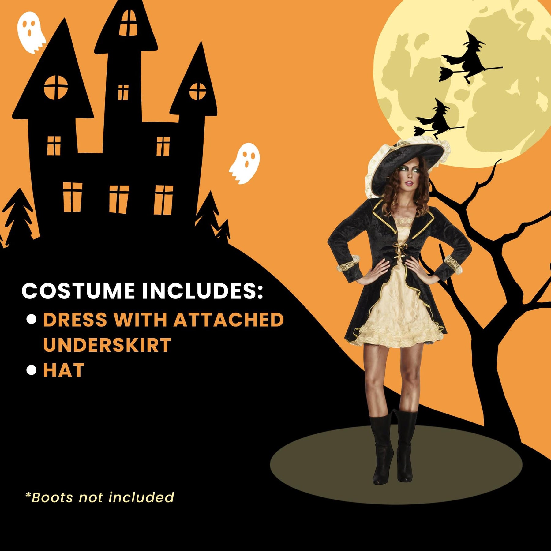 Fever Swashbuckler Black/gold Adult Costume