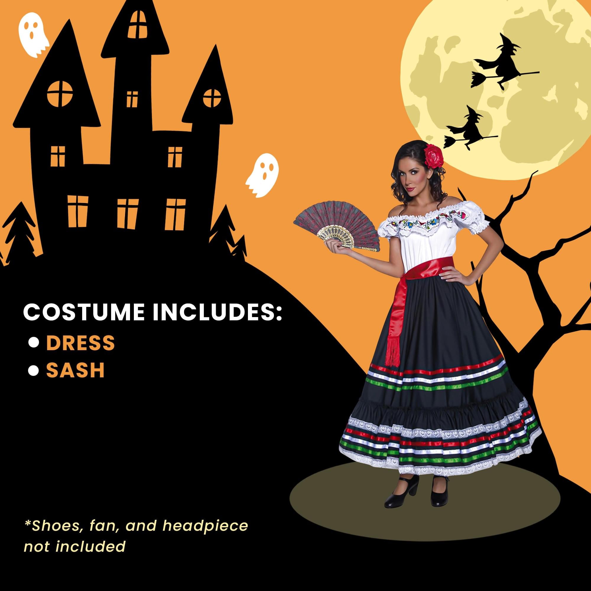 Traditional Mexican Woman Adult Costume