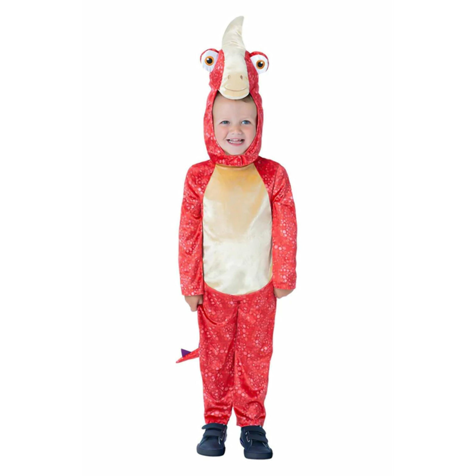 Gigantosaurus Rocky Child Costume