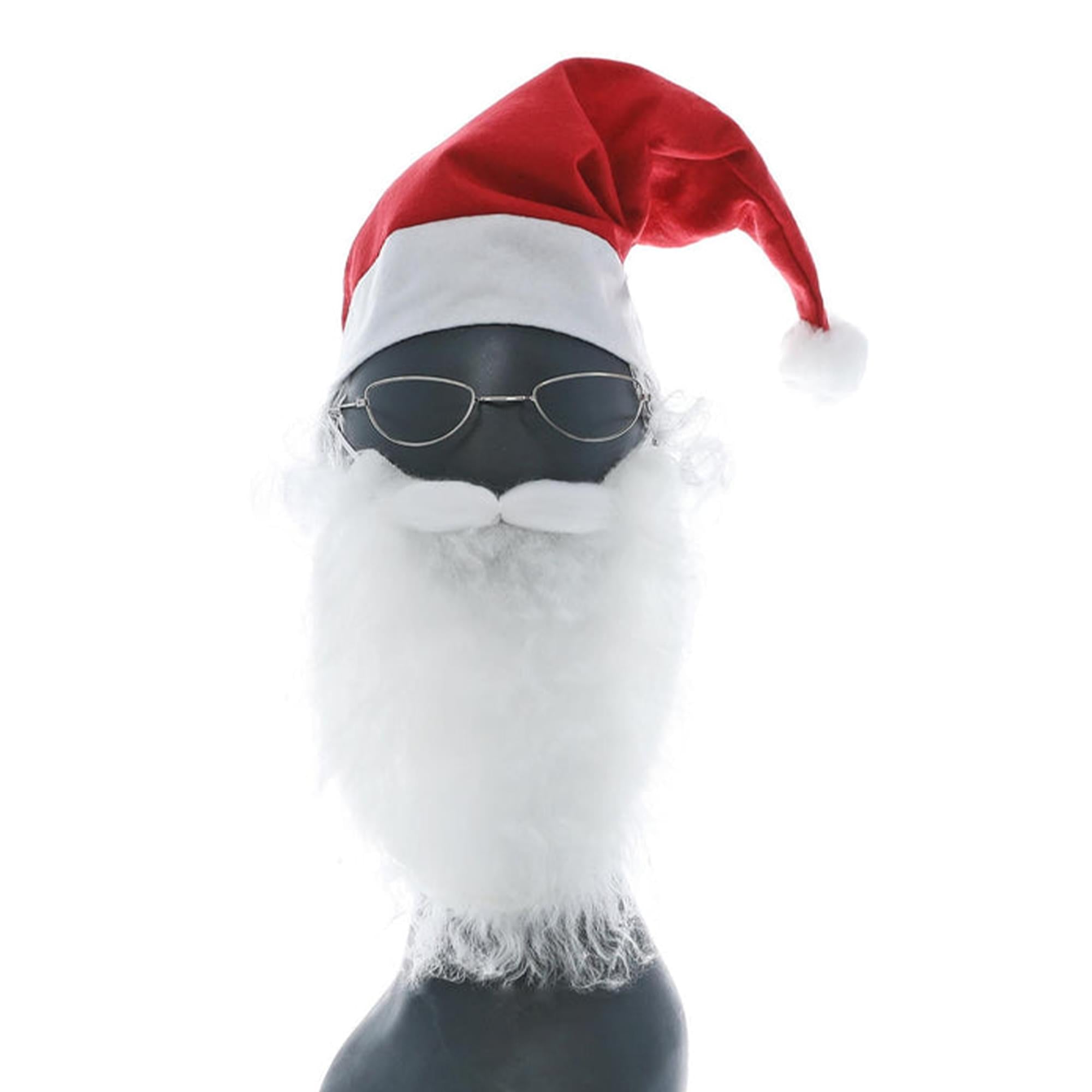 Santa Kit Costume Accessory