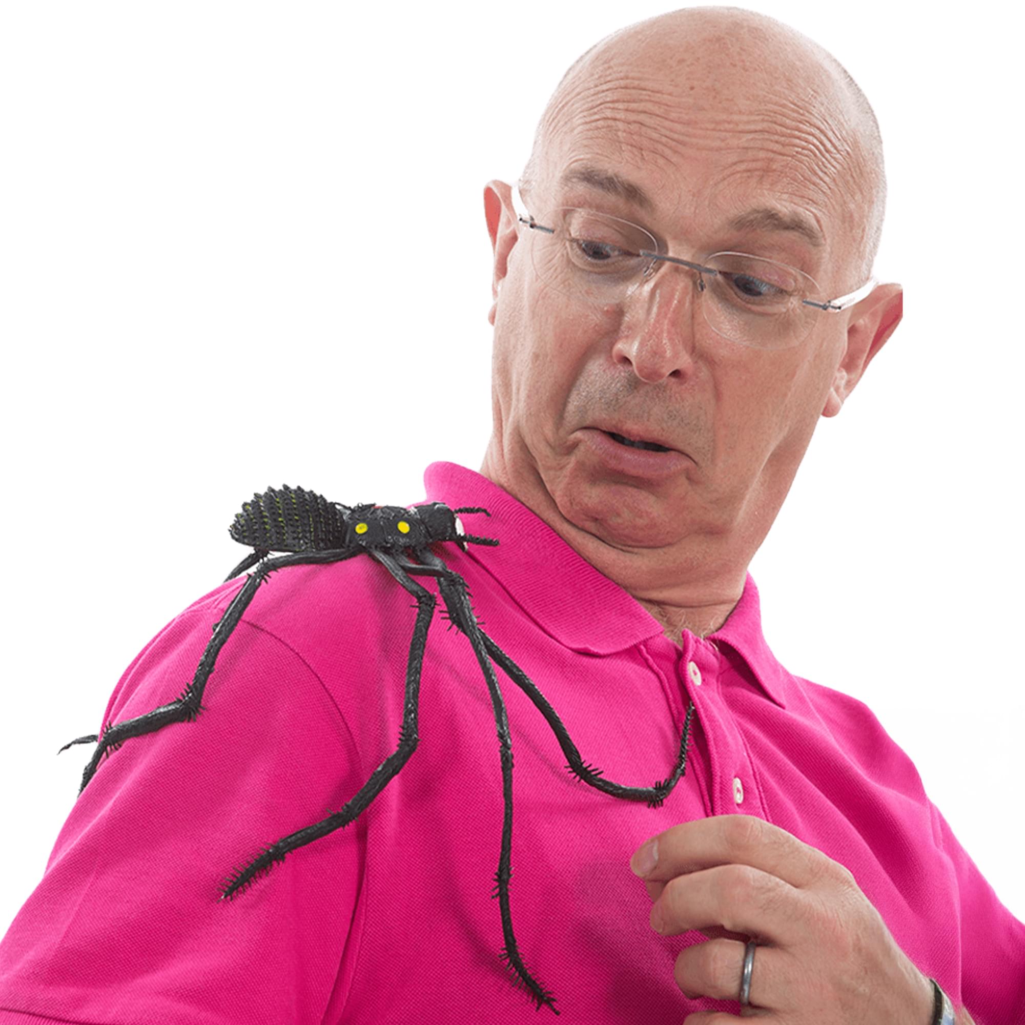 Creepy Spider Adult Costume