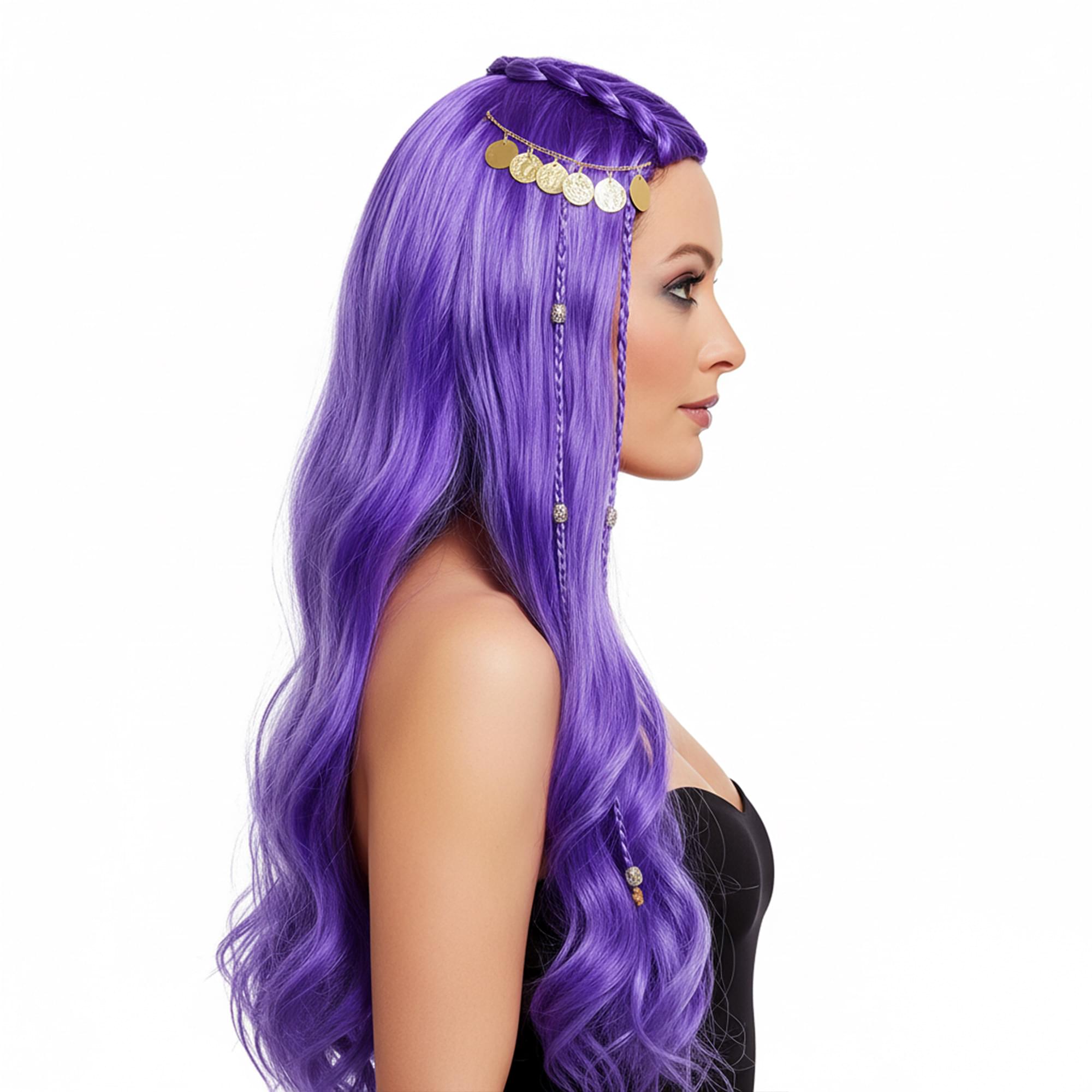 Fortune Teller Wig Costume Accessory