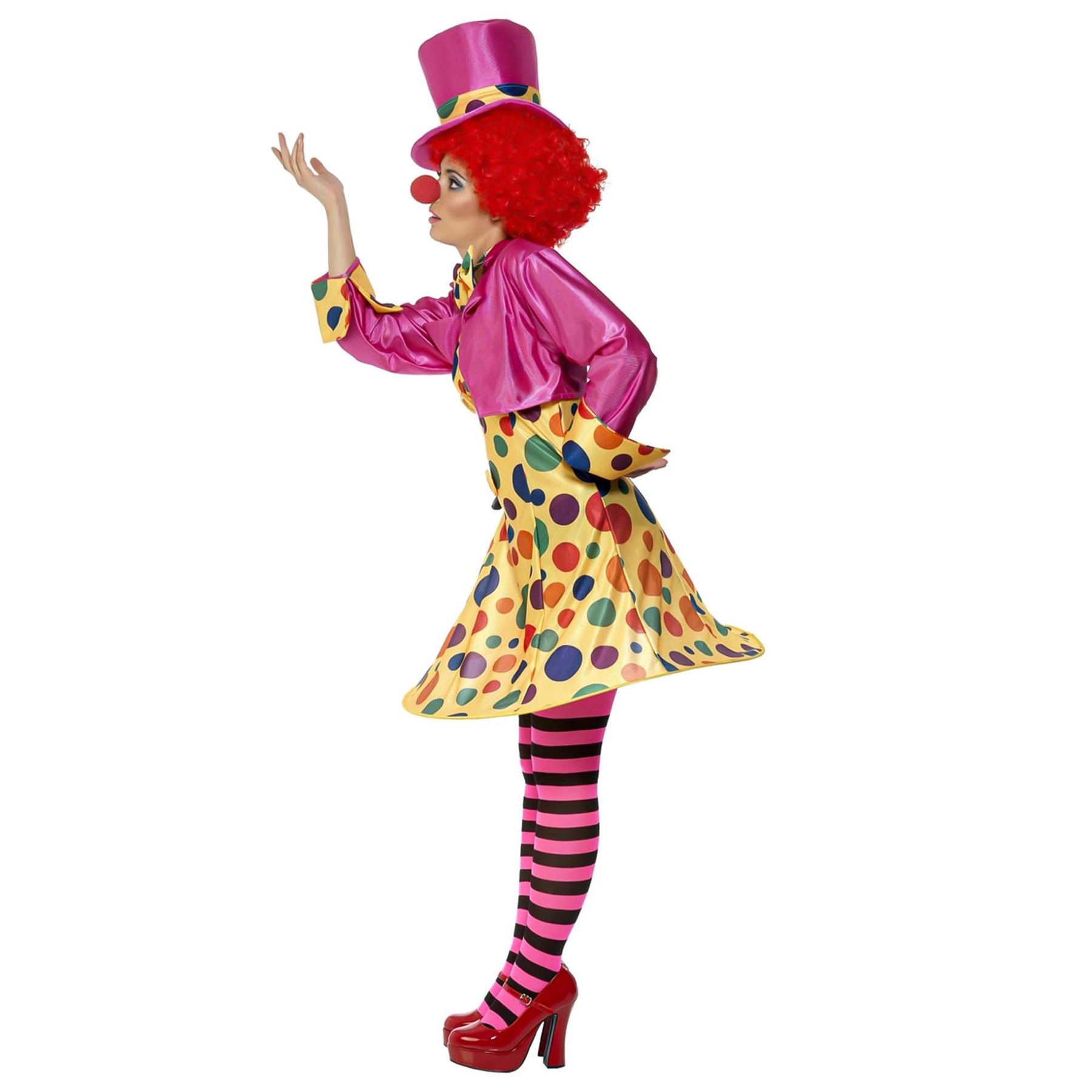 Clown Lady Adult Costume
