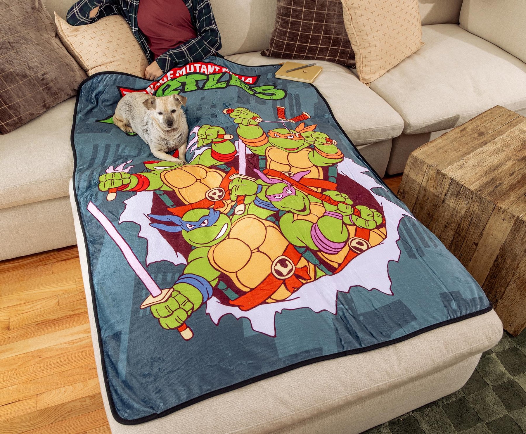 Teenage Mutant Ninja Turtles City Heroes 45 x 60 Inch Fleece Throw Blanket