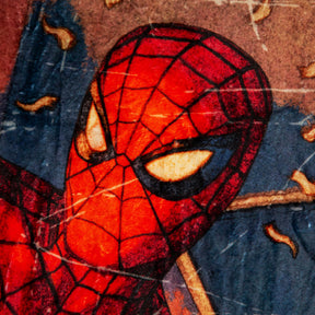 Marvel Comics Friendly Neighborhood Spider-Man Throw Blanket | 45 x 60 Inches
