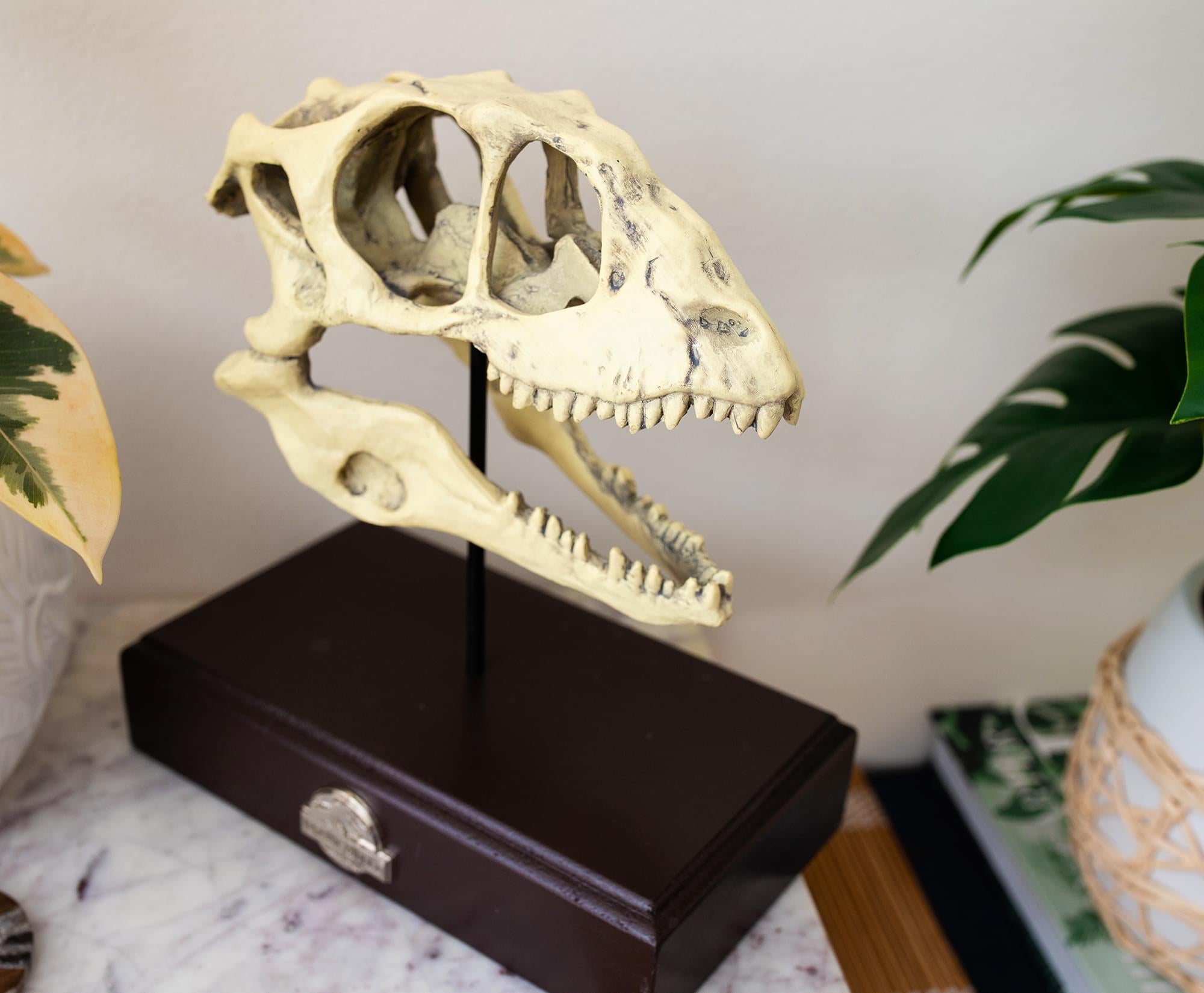 Jurassic World Velociraptor Skull Paperweight Replica | 8 Inches Tall