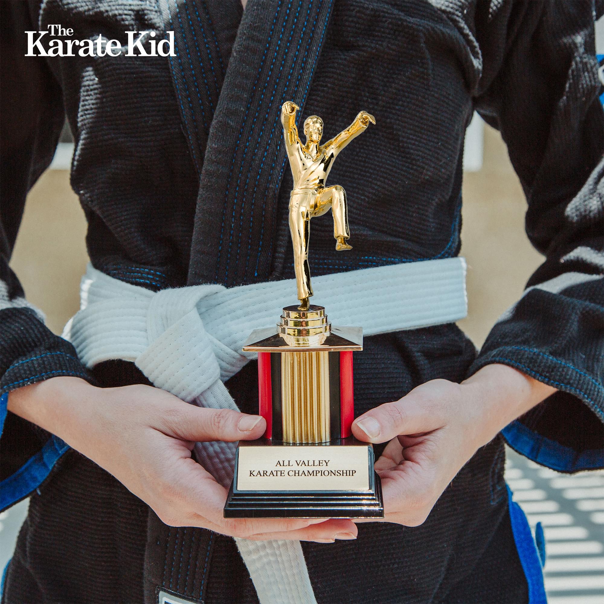The Karate Kid 8-Inch All Valley Karate Championship Trophy Replica