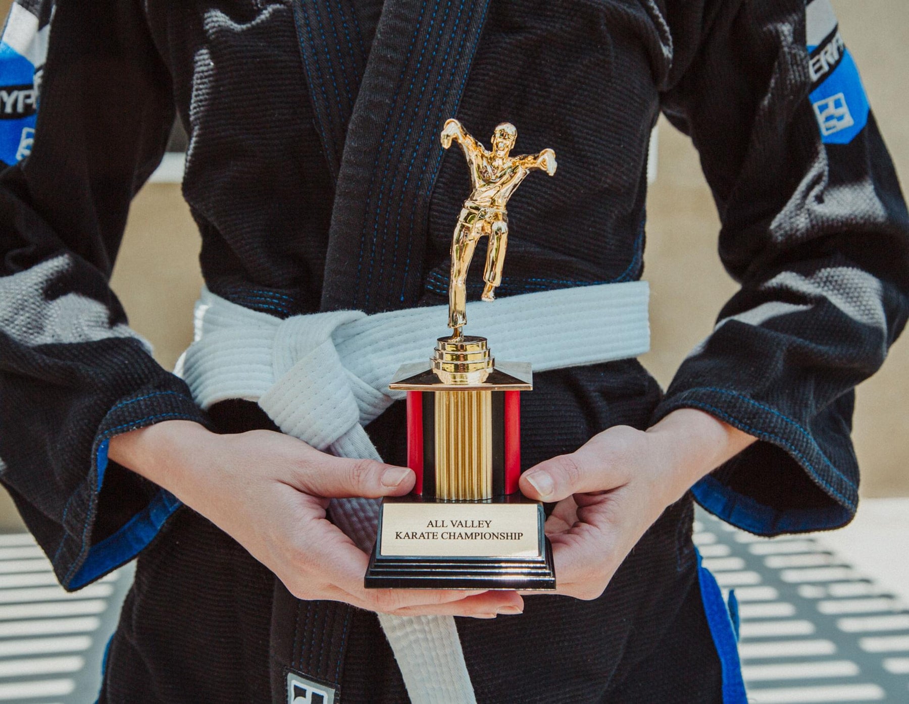 The Karate Kid 8-Inch All Valley Karate Championship Trophy Replica