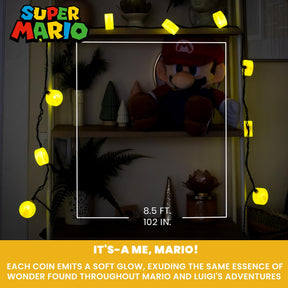 Super Mario Bros. Coin String Lights