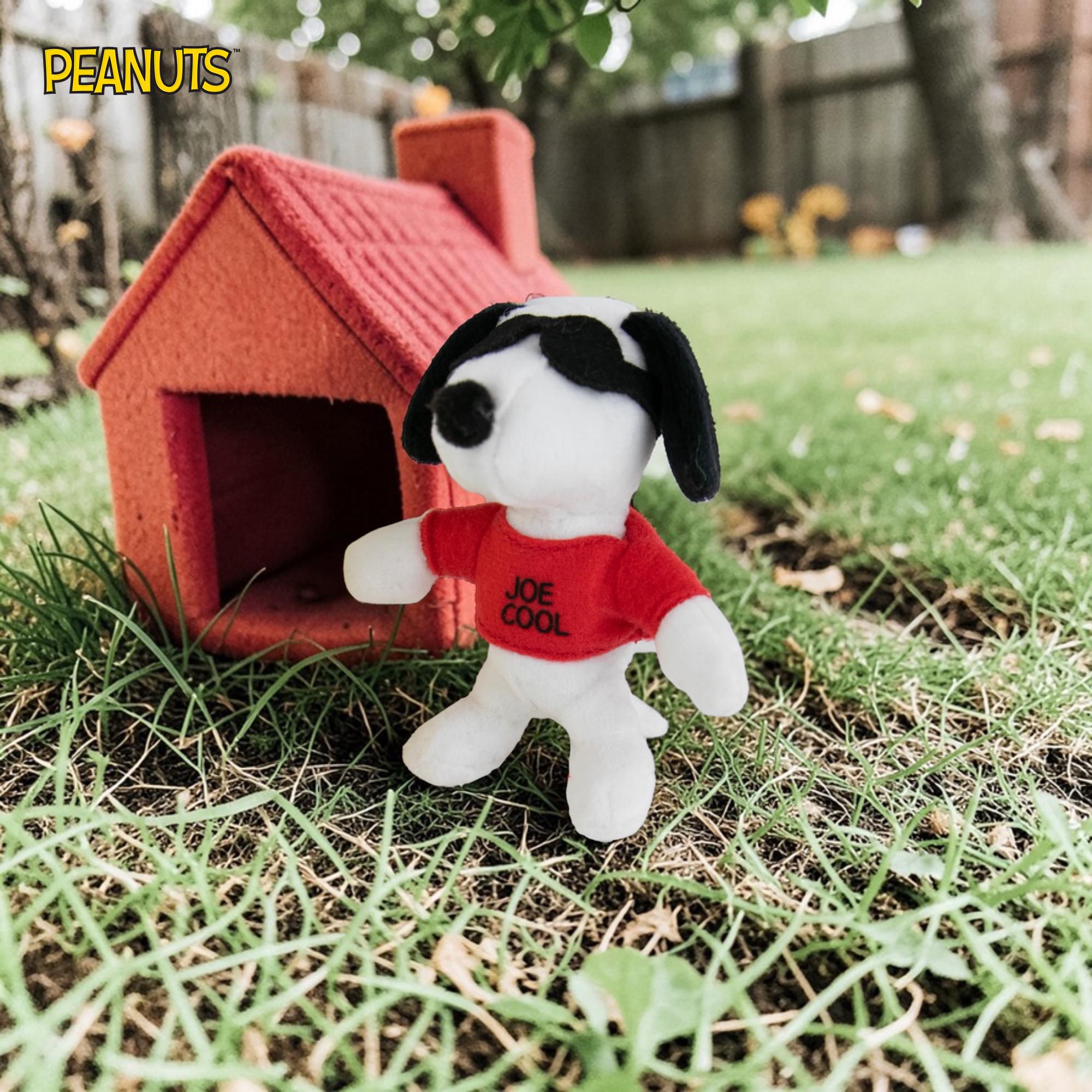 World's Smallest Peanuts Plush | Snoopy