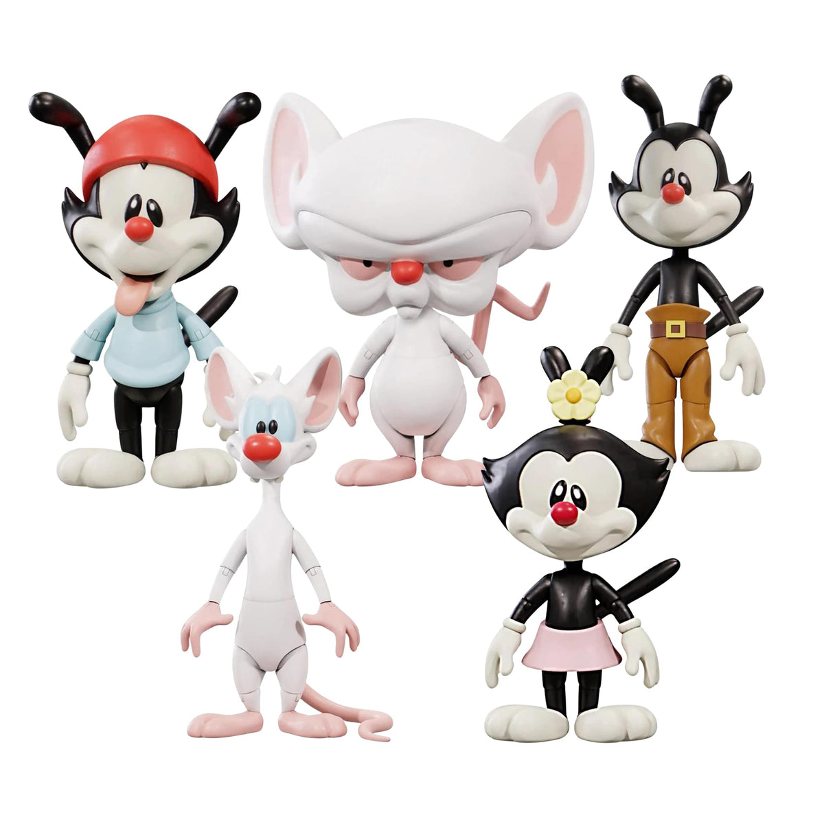SUP-ANIMANCS-B5-