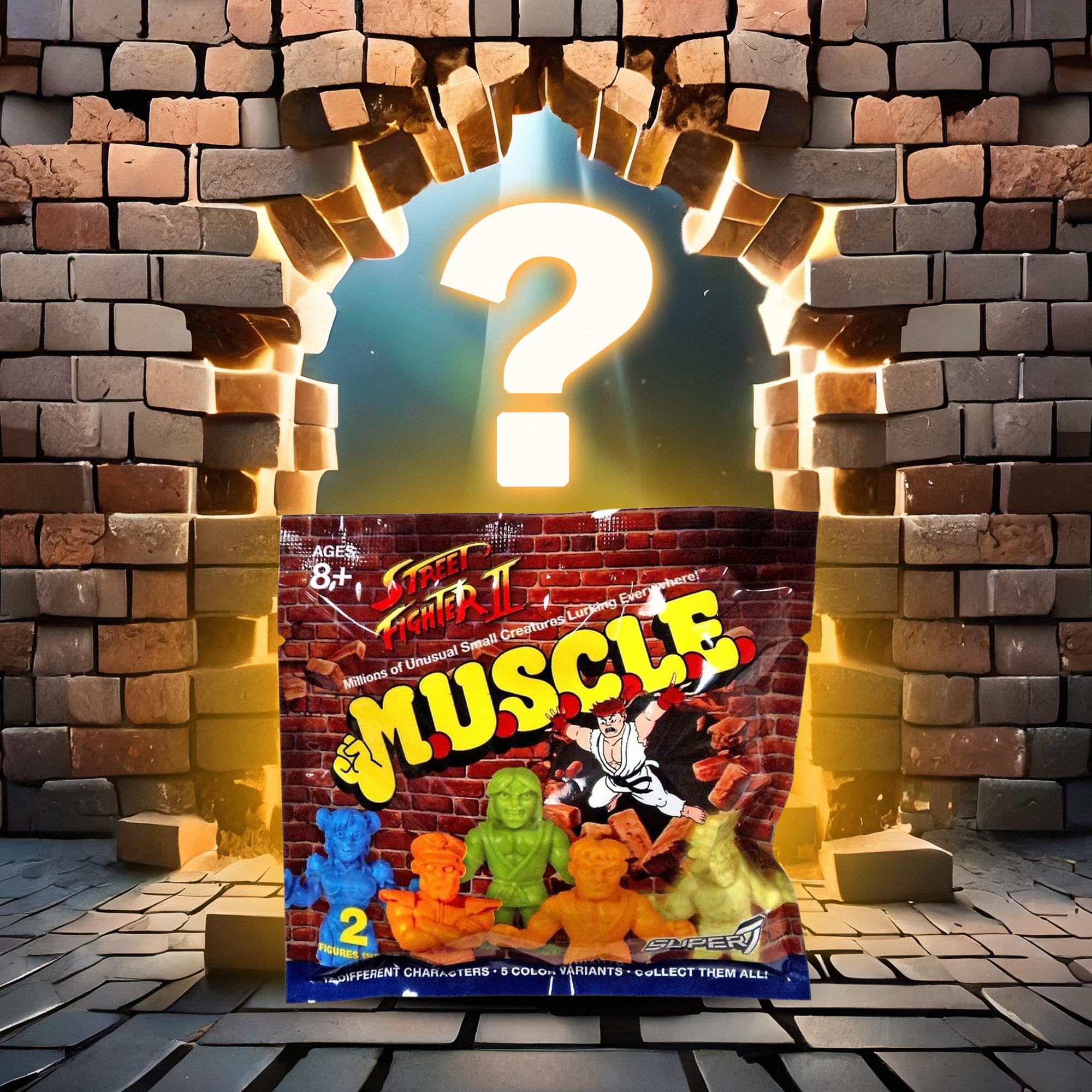 Street Fighter II M.U.S.C.L.E. Mini-Figure Wave 1 | Random 2-Pack