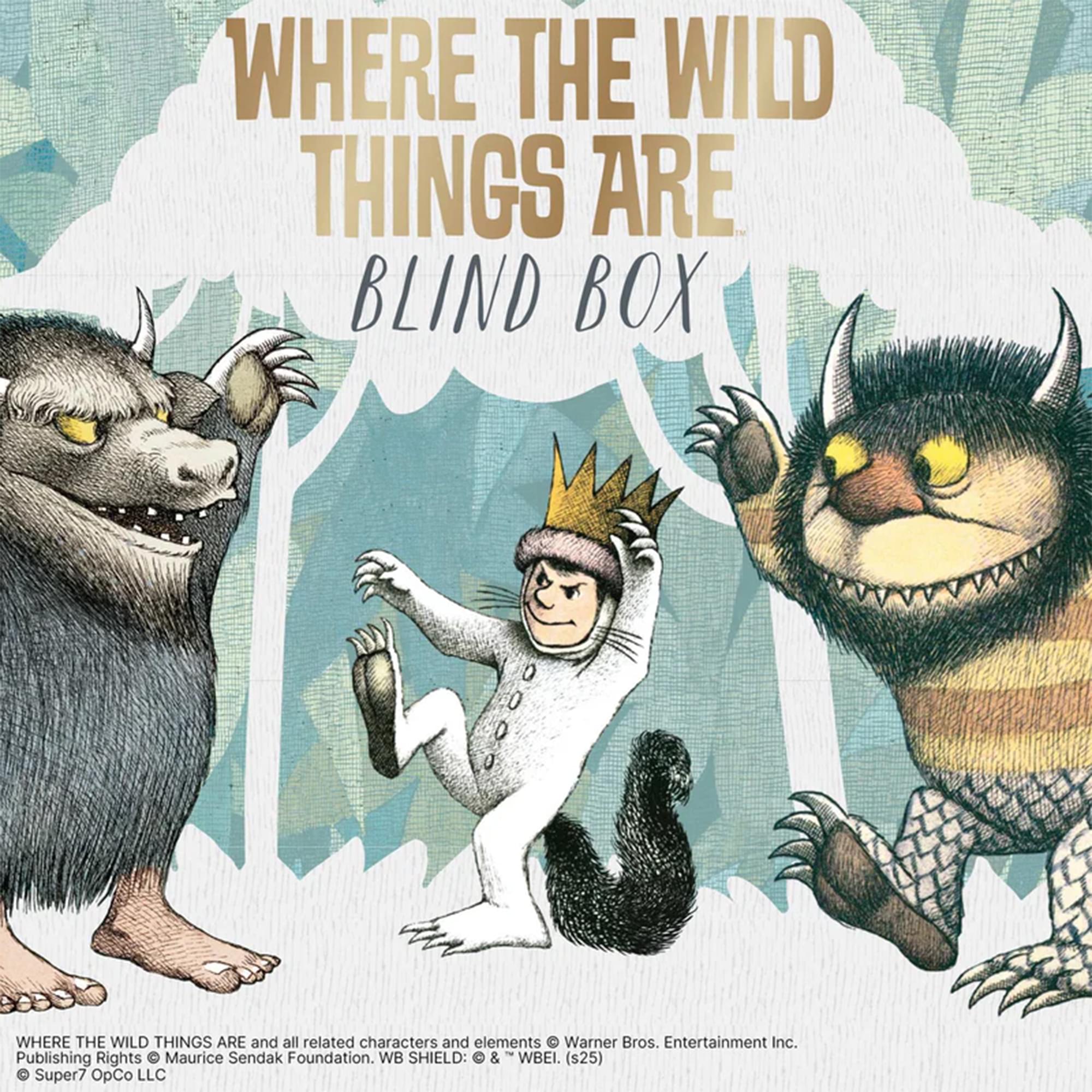 Where The Wild Things Are ReAction Figure Blind Box | One Random