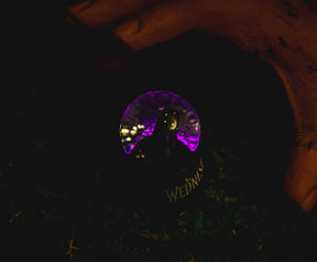 Wednesday Addams Mini Light-Up Snow Globe | 3 Inches Tall