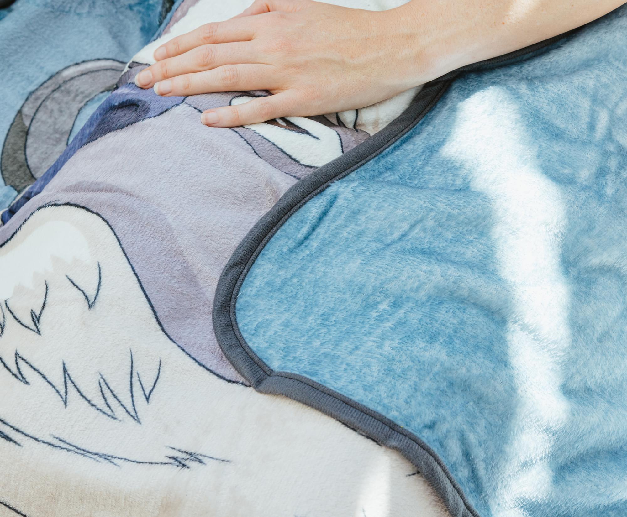 Avatar: The Last Airbender Group Fleece Throw Blanket | 45 x 60 Inches