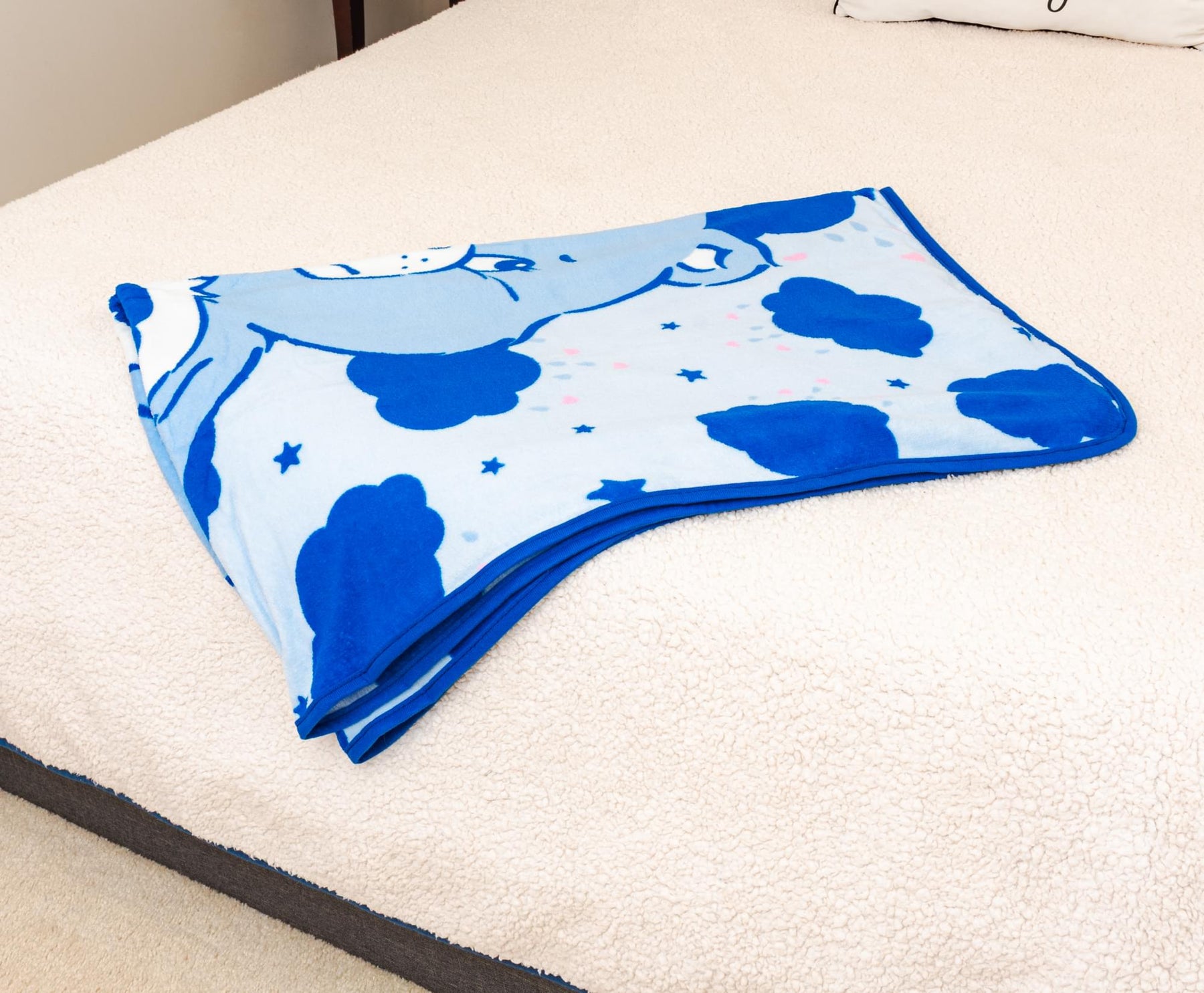 Care Bears Grumpy Bear Fleece Throw Blanket | 45 x 60 Inches