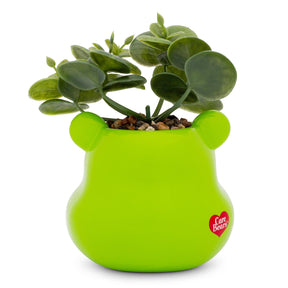 Care Bears Good Luck Bear 5-Inch Ceramic Mini Planter With Artificial Succulent