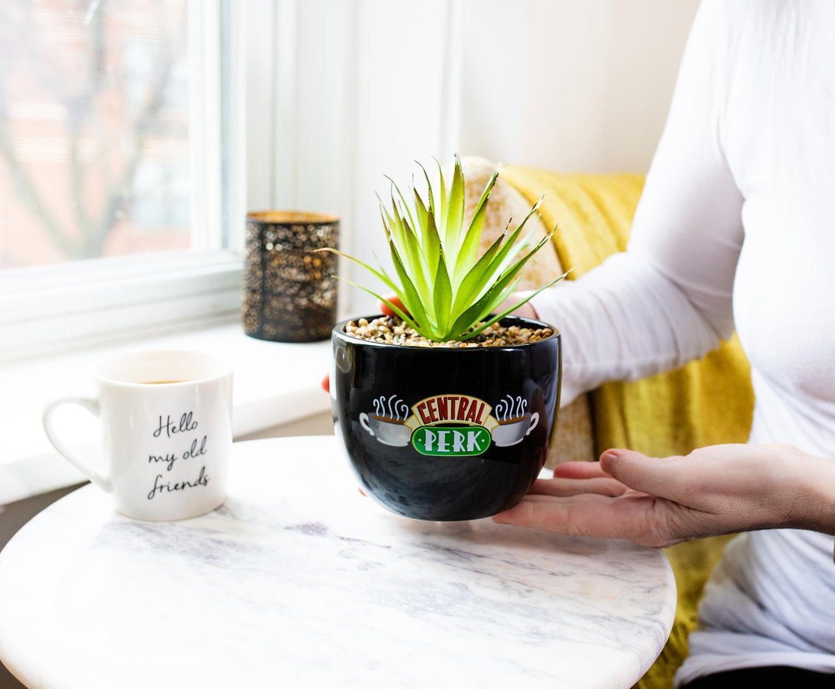 Pot De Fleurs / Vase De Table FRIENDS – Central Perk (collection)