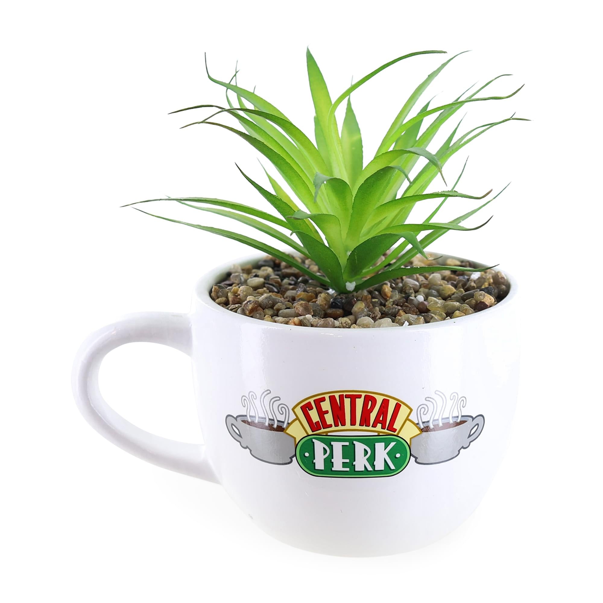 Friends Central Perk Mug 7-Inch Ceramic Planter With Artificial Succulent