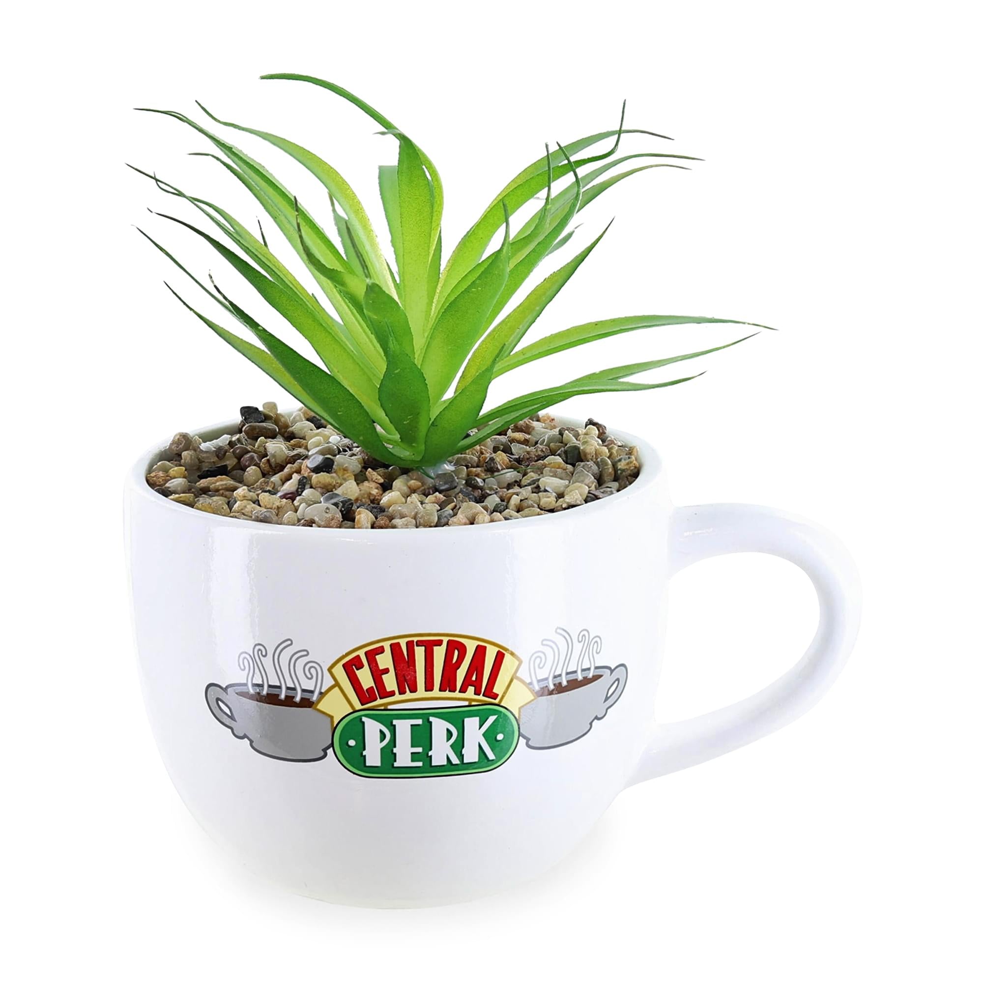 Friends Central Perk Mug 7-Inch Ceramic Planter With Artificial Succulent