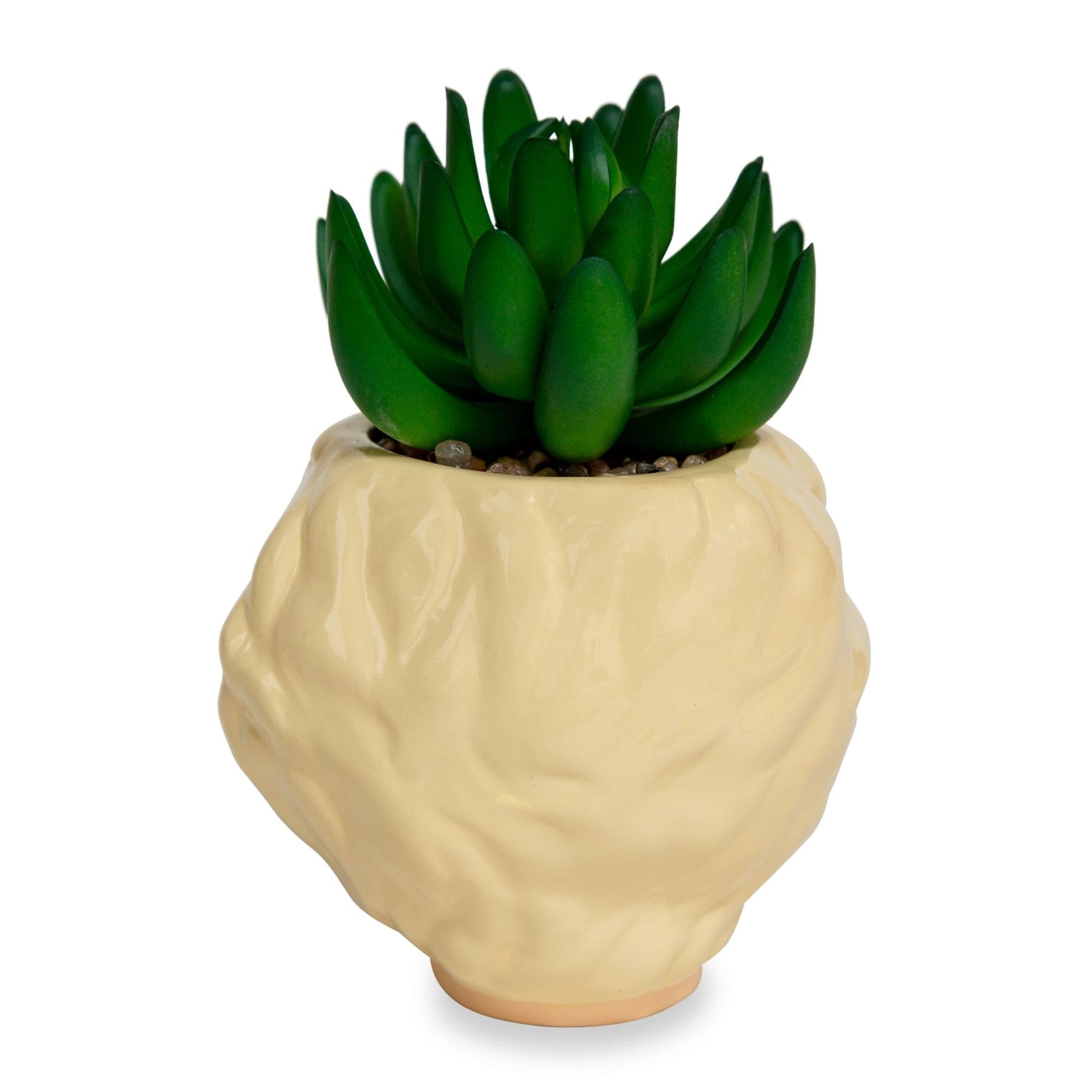 The Golden Girls Rose 3-Inch Ceramic Mini Planter With Artificial Succulent