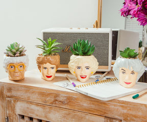The Golden Girls Rose 3-Inch Ceramic Mini Planter With Artificial Succulent