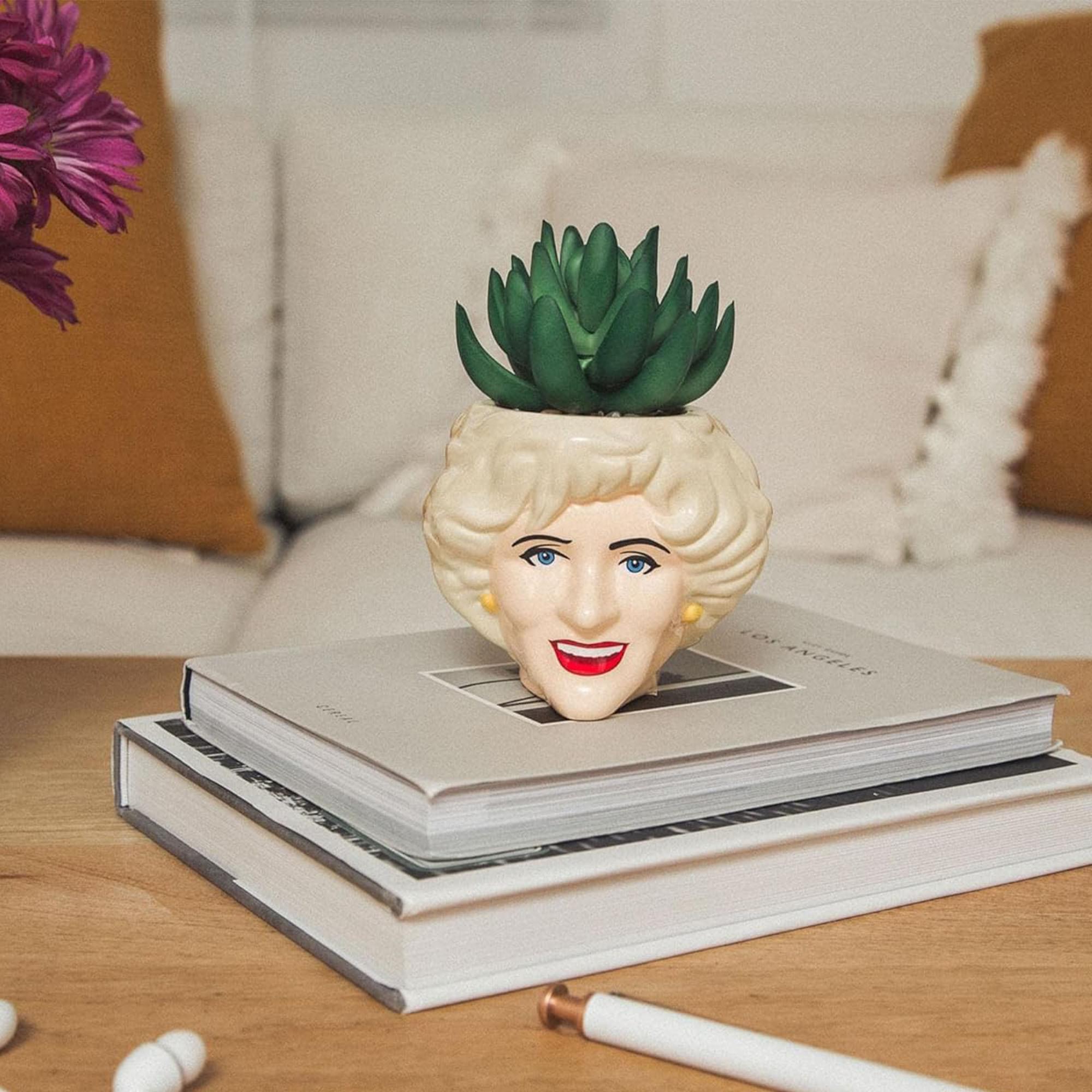 The Golden Girls Face Mini Ceramic Planter With Faux Succulent | Set of 4