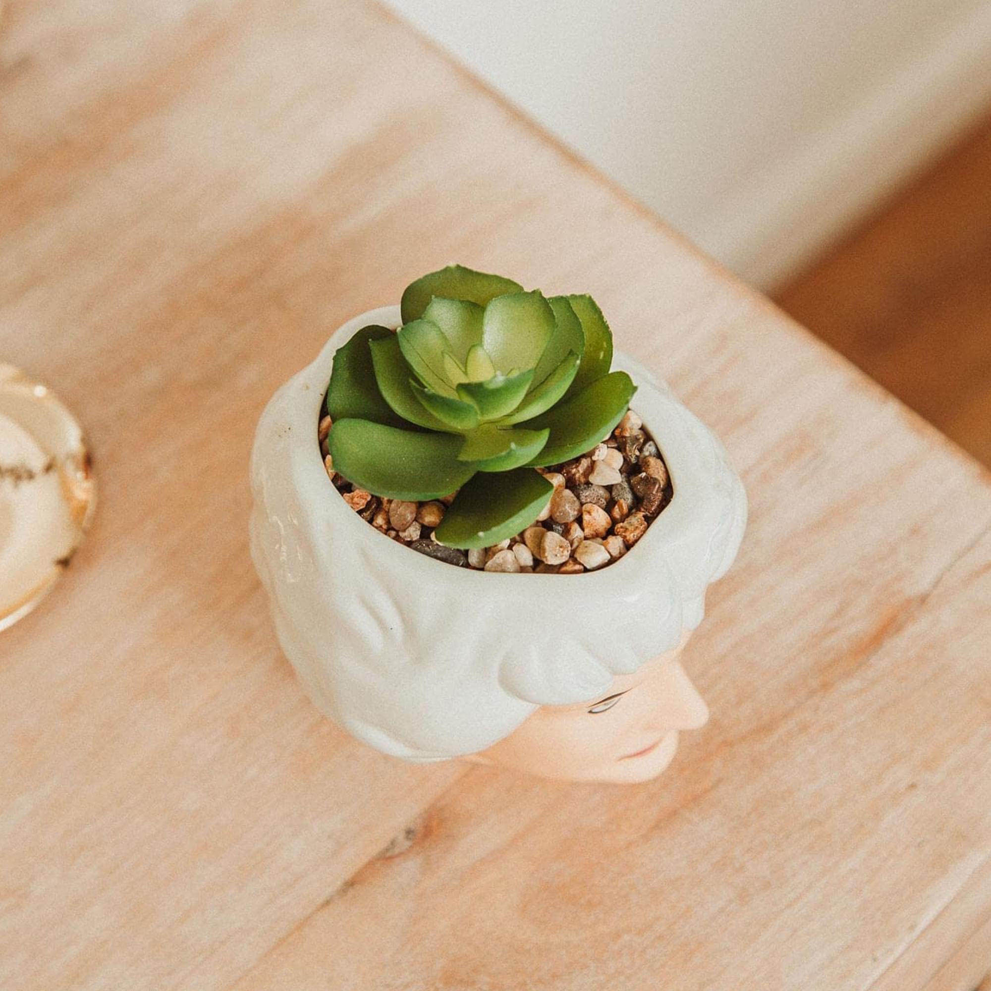 The Golden Girls Face Mini Ceramic Planter With Faux Succulent | Set of 4